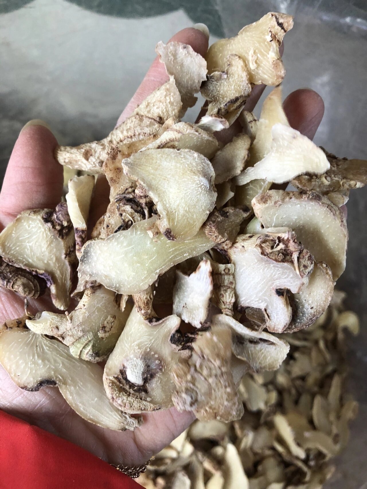 【野生白芨】:支气管,咳嗽好久才恢复的吃白芨非常好91功效;对咳血