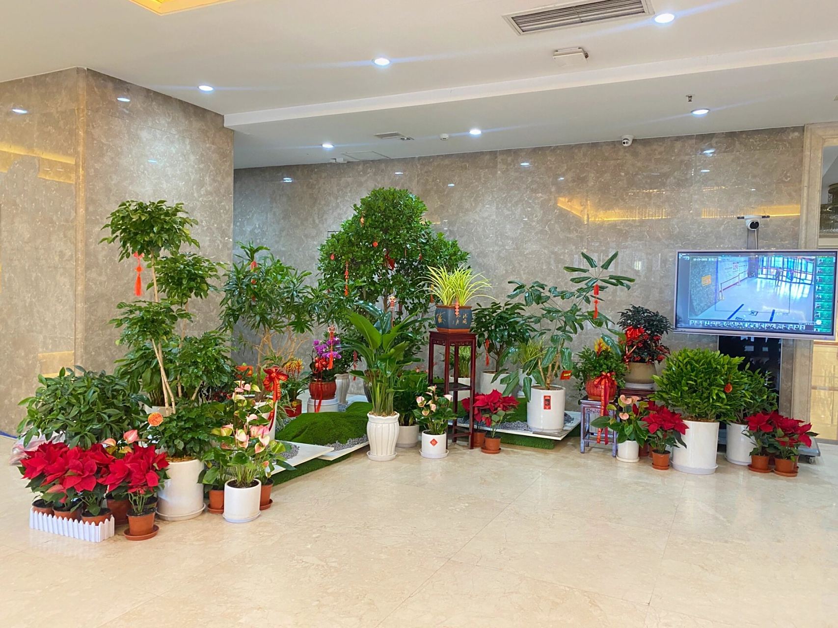 银行大厅绿植景观组合设计