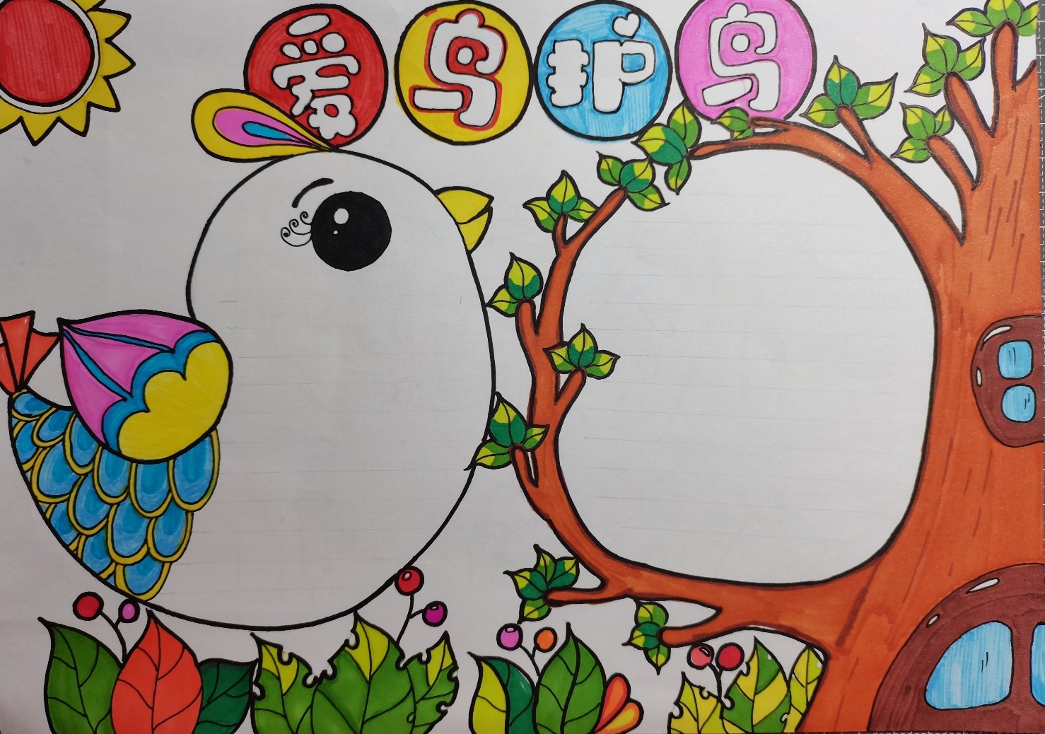 爱鸟护鸟手抄报 周末作业,跟宝贝合作,完成喽!