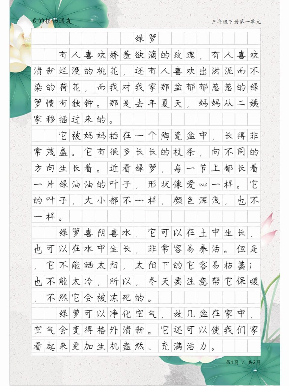 我的植物朋友绿萝50字图片