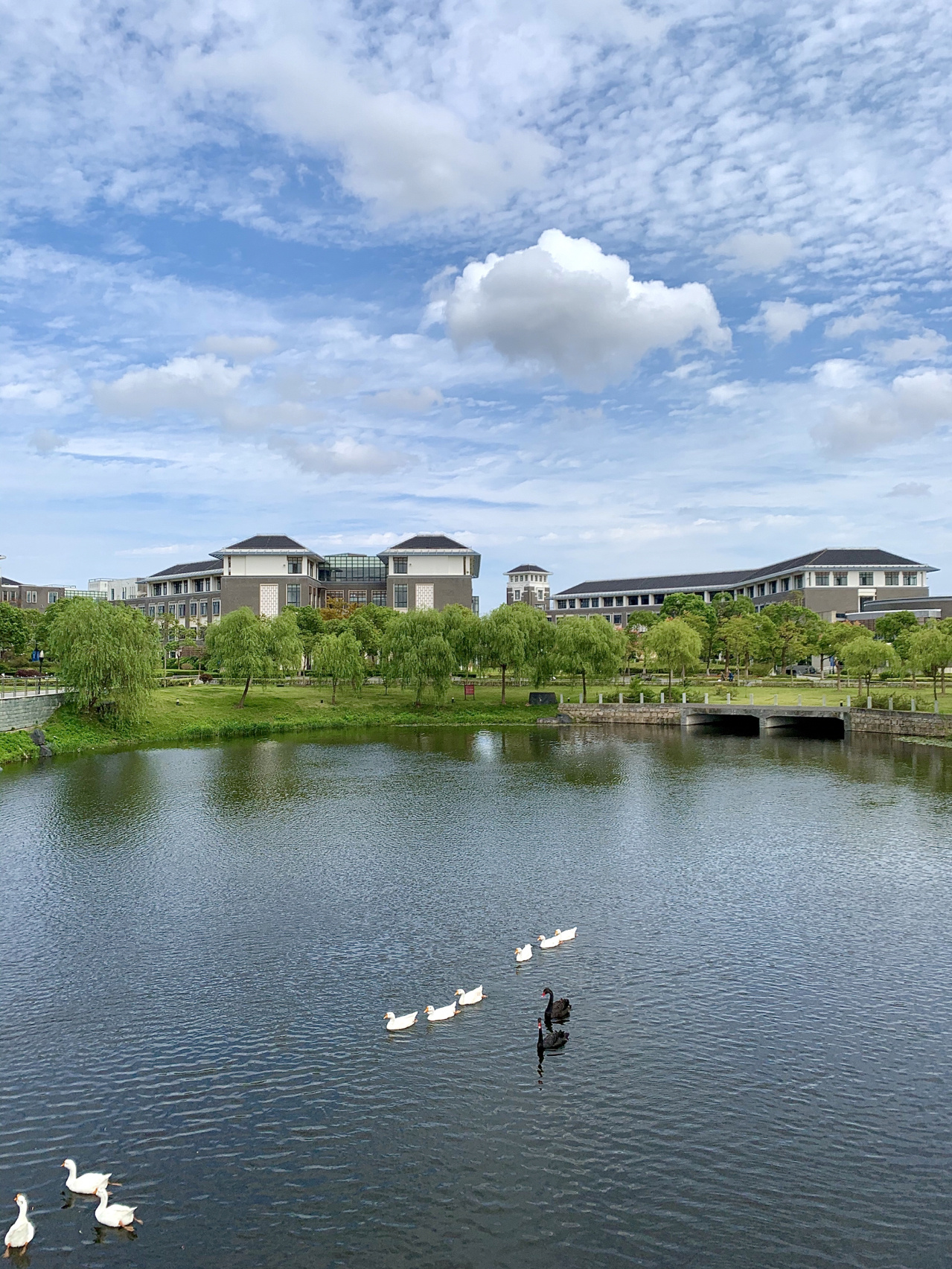 最美大学 上海海洋大学