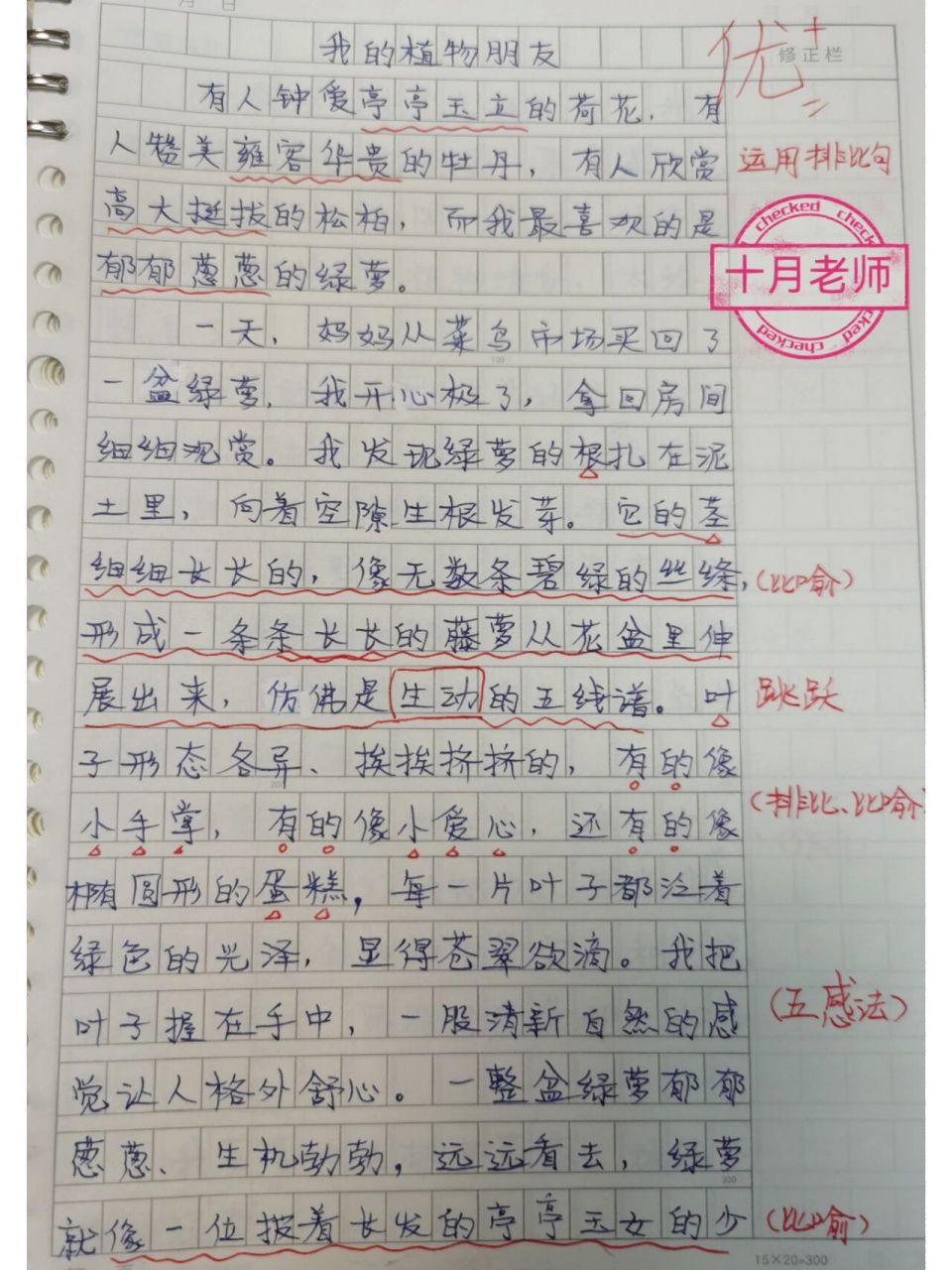 三下第一单元优秀作文《我的植物朋友绿萝》 三年级下册第一单元优秀