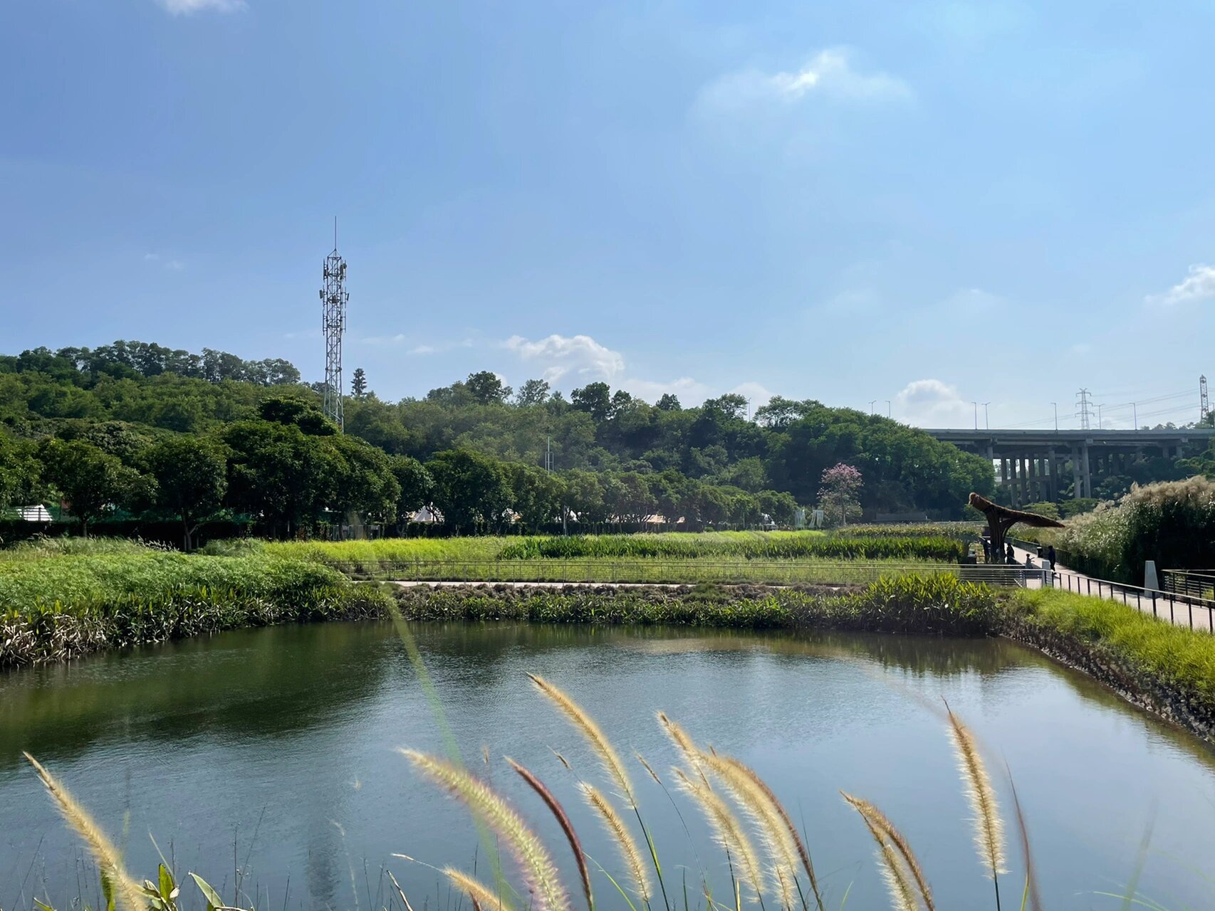 你一定不能错过的深圳小众绿道61平湖生态园 推荐:99999999