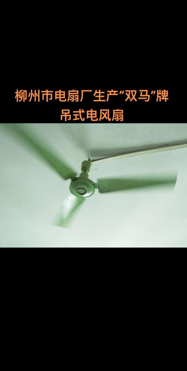 柳州市电扇厂生产"双马"牌电风扇……柳州"双马牌"风扇的发展:     原