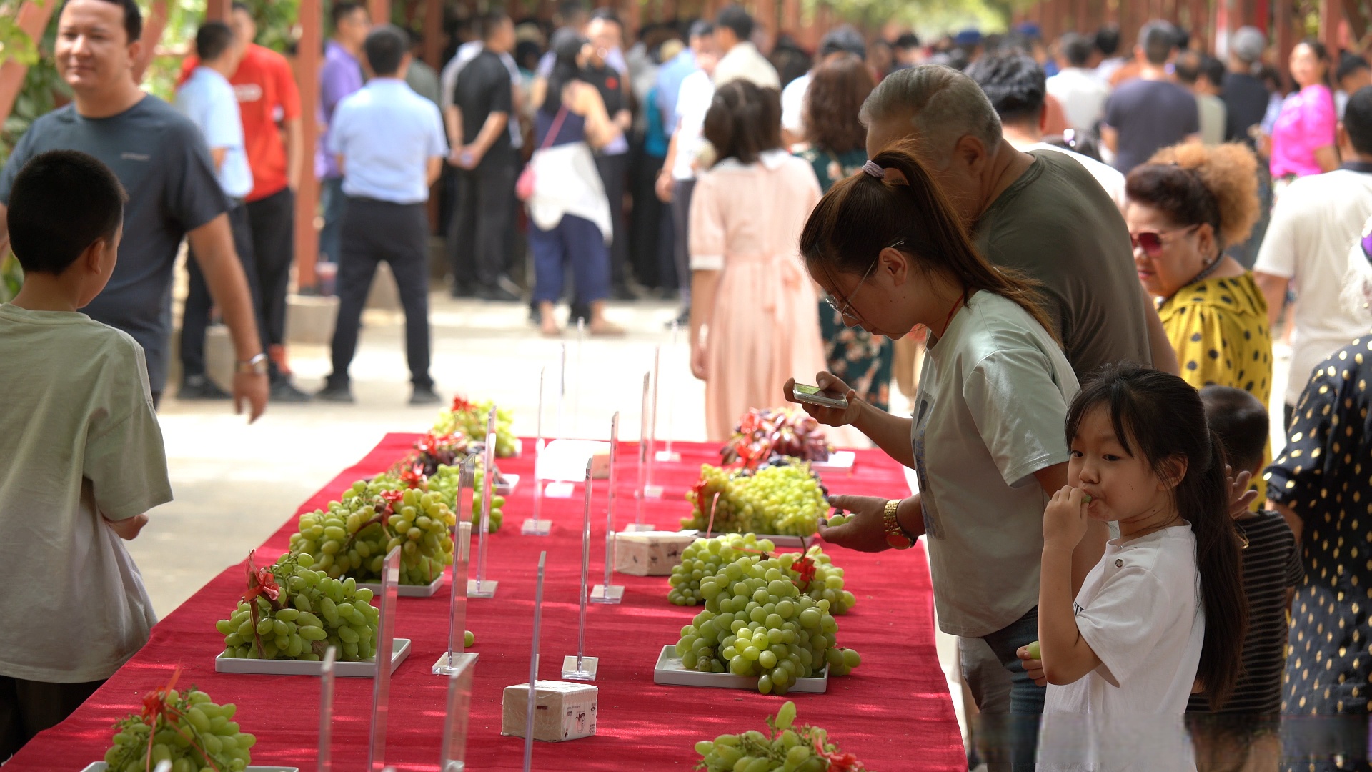 8月25日,墨玉县第七届葡萄文化大集活动在墨玉县喀瓦克乡人民广场