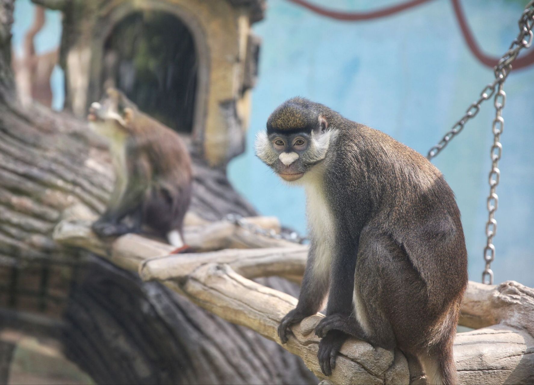 济南动物园一日游 周末带宝宝去我童年的"金牛公园",陪他长大也是去