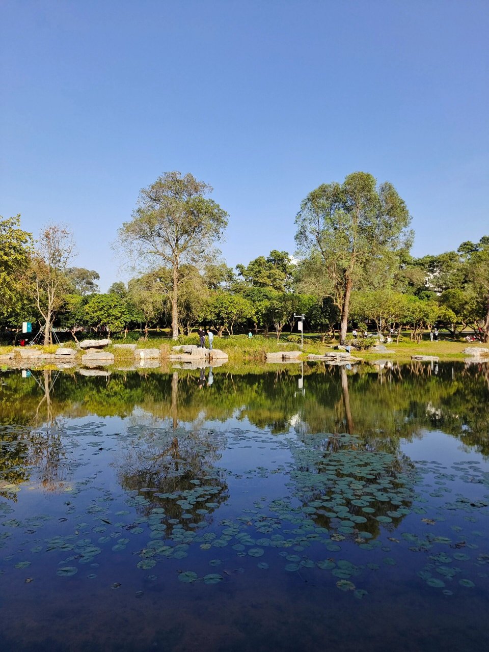 用力拥抱大自然～西丽湖度假村好chill~ 西丽湖度假村真的好chill