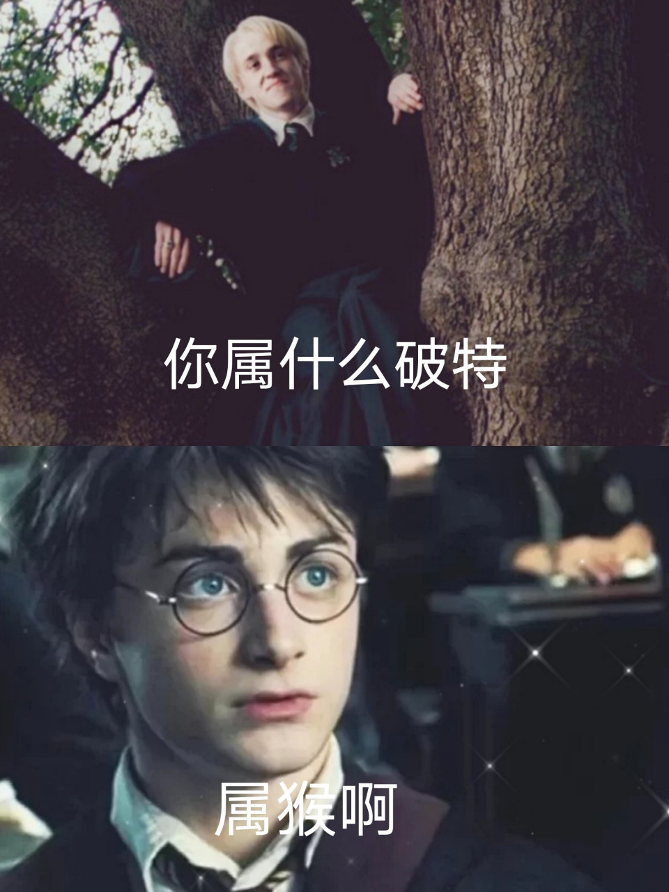 哈利波特cp剧场(全程姨母笑) 来发一波图表明我还健在