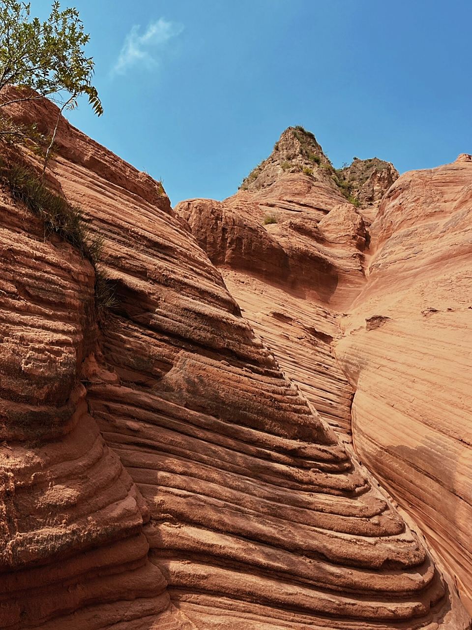 的小众旅游地 99陕西省榆林市靖边县波浪谷景区 陕北自驾游的第二站