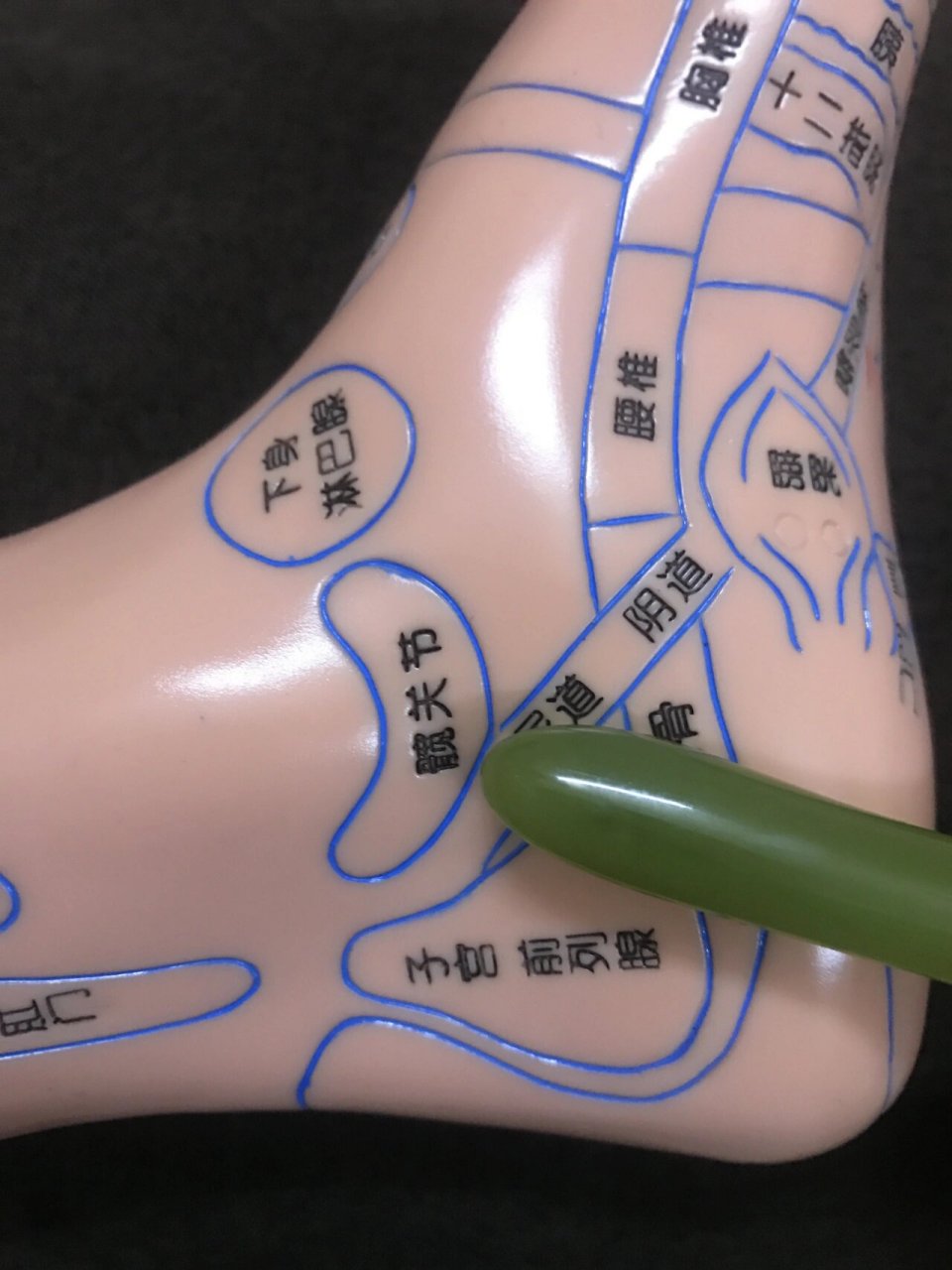 百病 髋关节位置与功能      髋关节: 位置:位于双脚脚内侧的内踝下缘