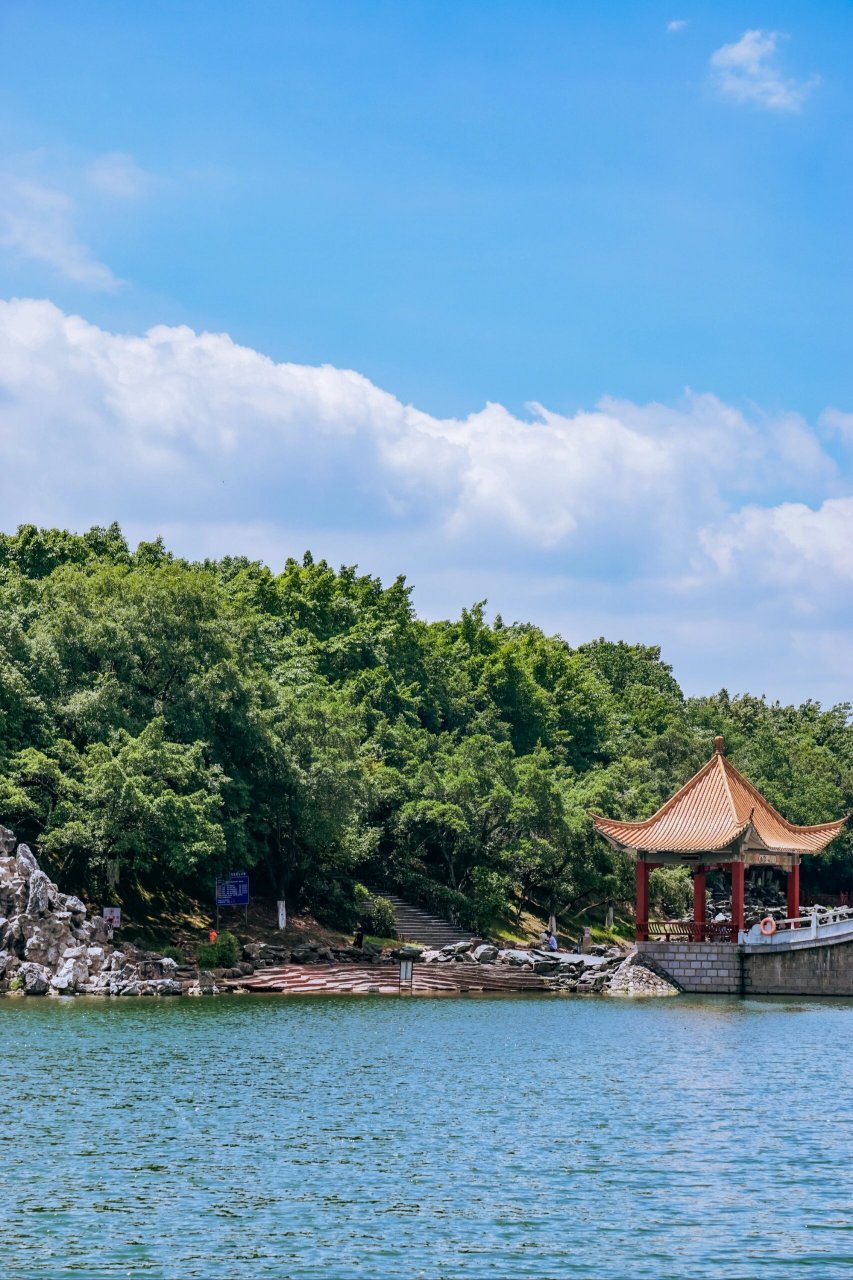 大晴天拍的旭山公园 拍的时候只有热,美都是后来修图才有