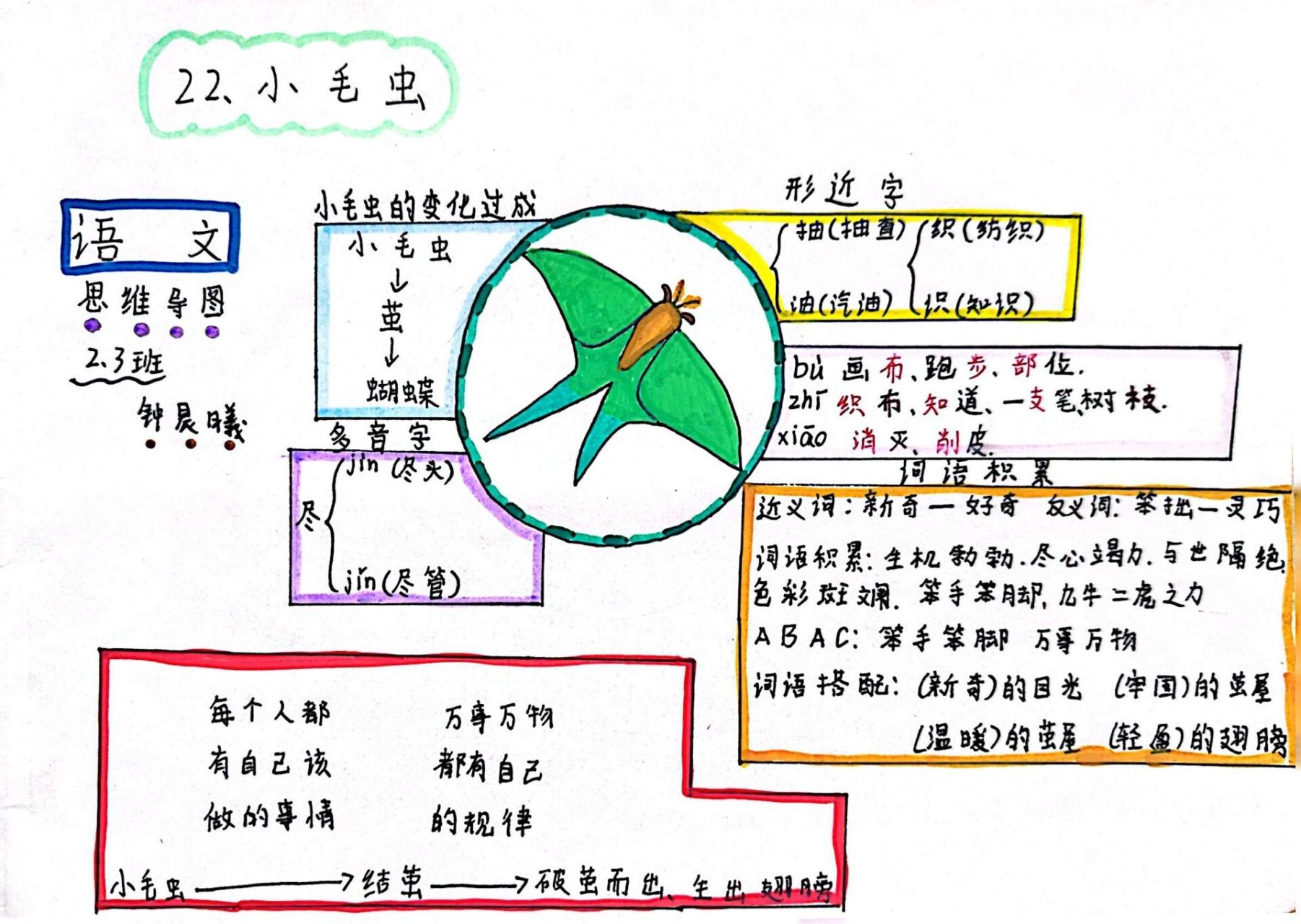 二下《小毛虫》思维导图