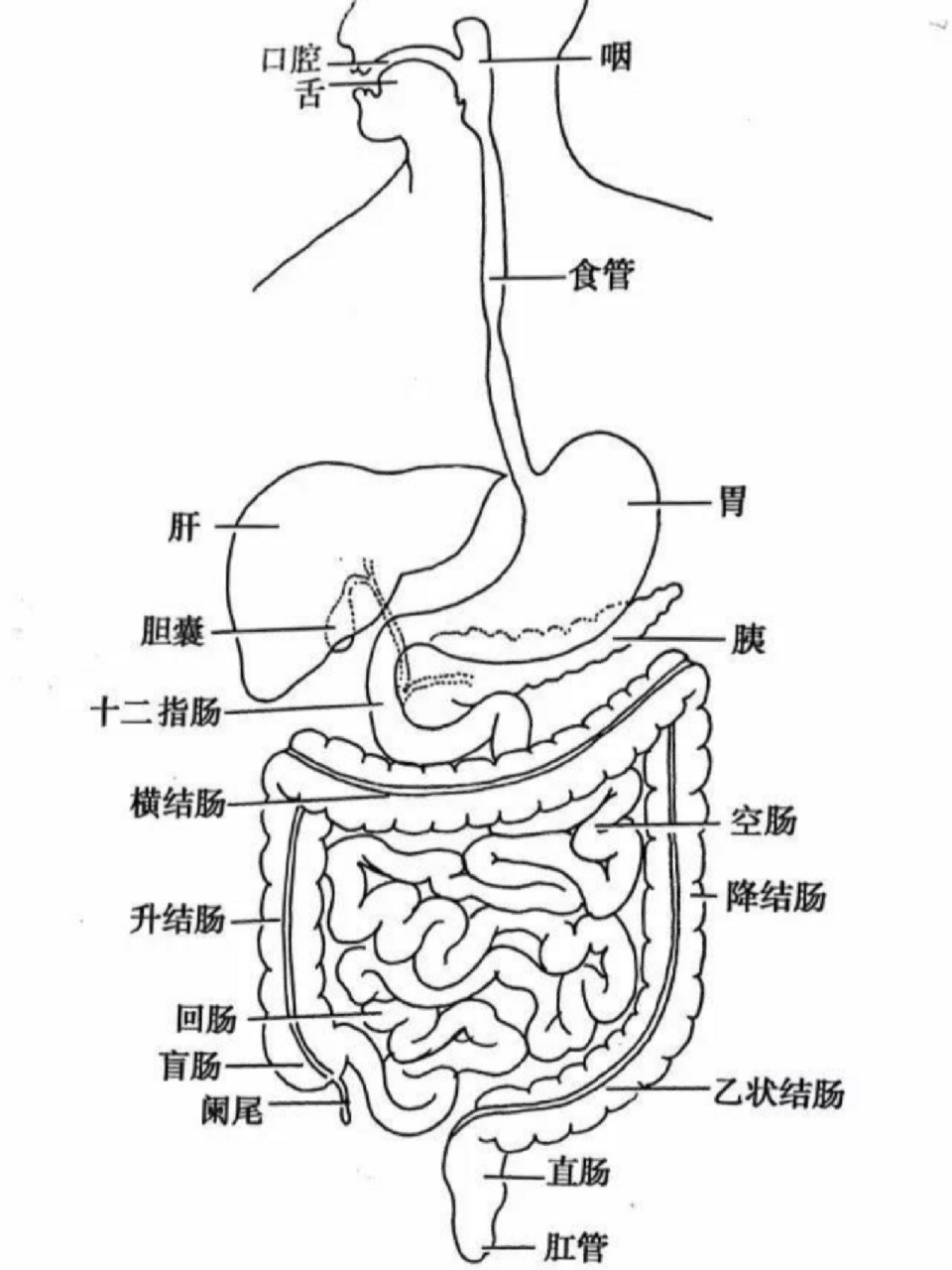 灌肠法-大量不保留灌肠 灌肠法:一定量的液体由肛门-直肠-结肠79