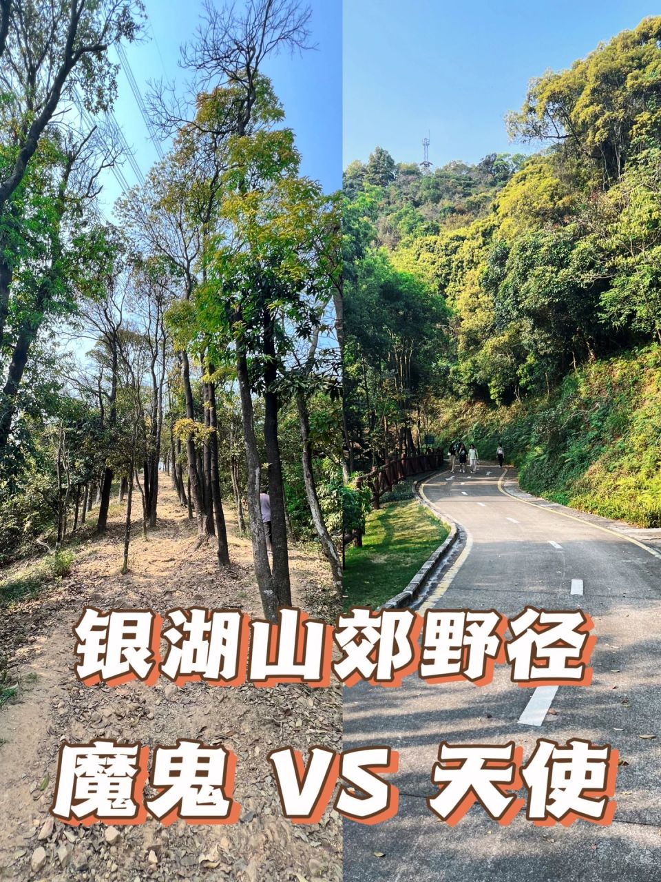 深圳周末徒步|银湖山郊野径|体验魔鬼vs天使 起点:泥岗地铁站c口 终点