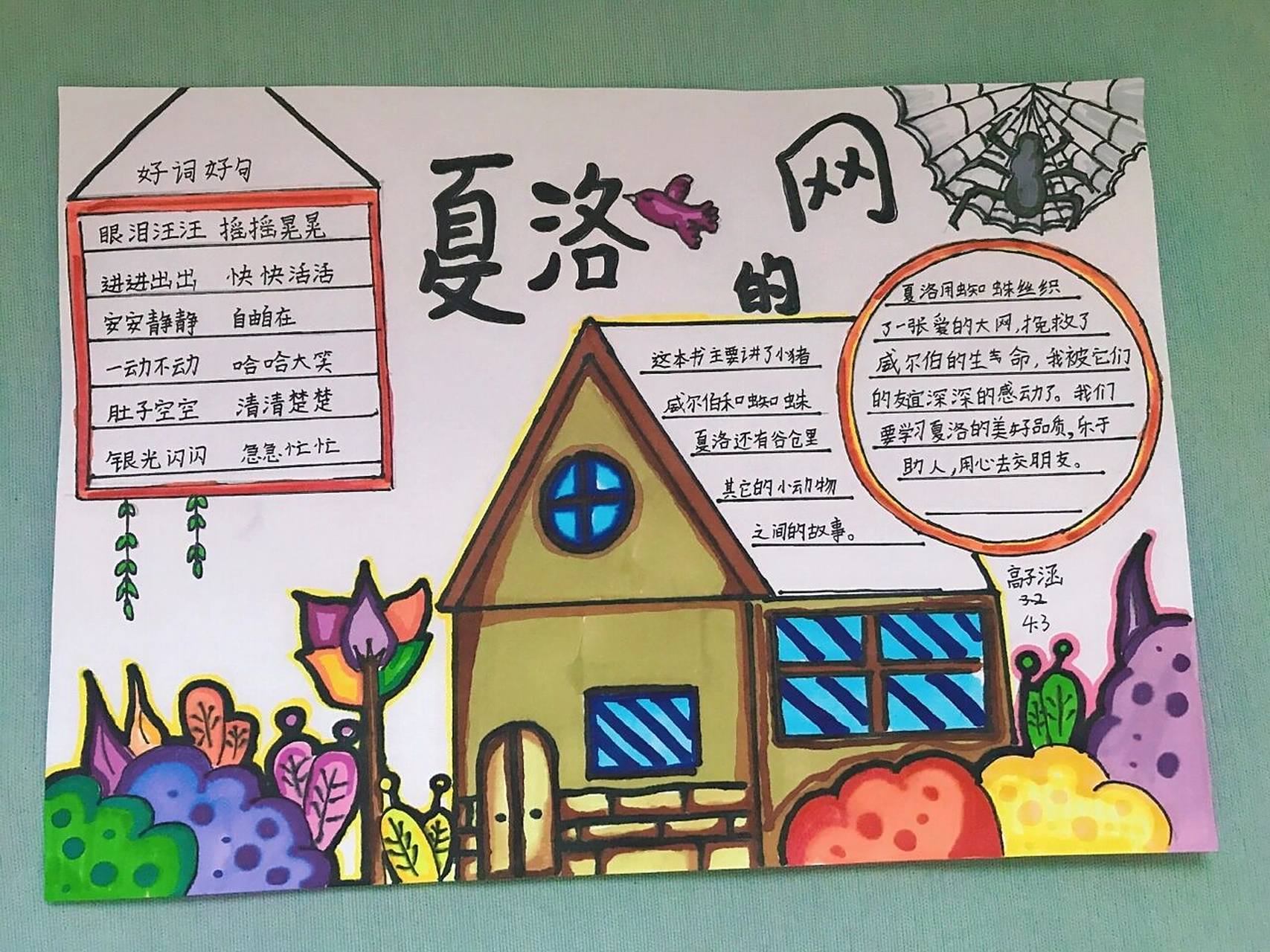 读书手抄报7815夏洛的网 儿子的暑假作业1