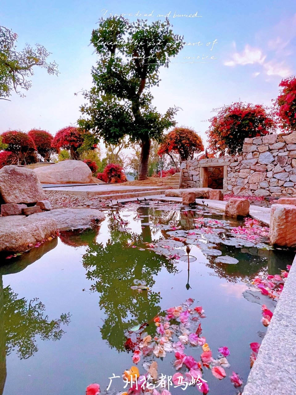广州花都马岭观花植物园免费开放了强烈推荐 你知道在广州花都区狮岭
