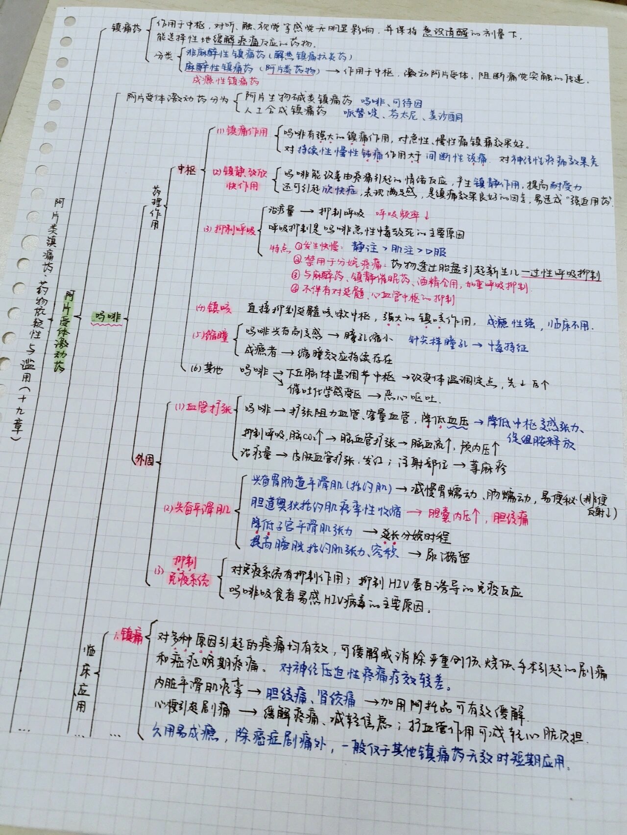 药理学思维导图手绘图片