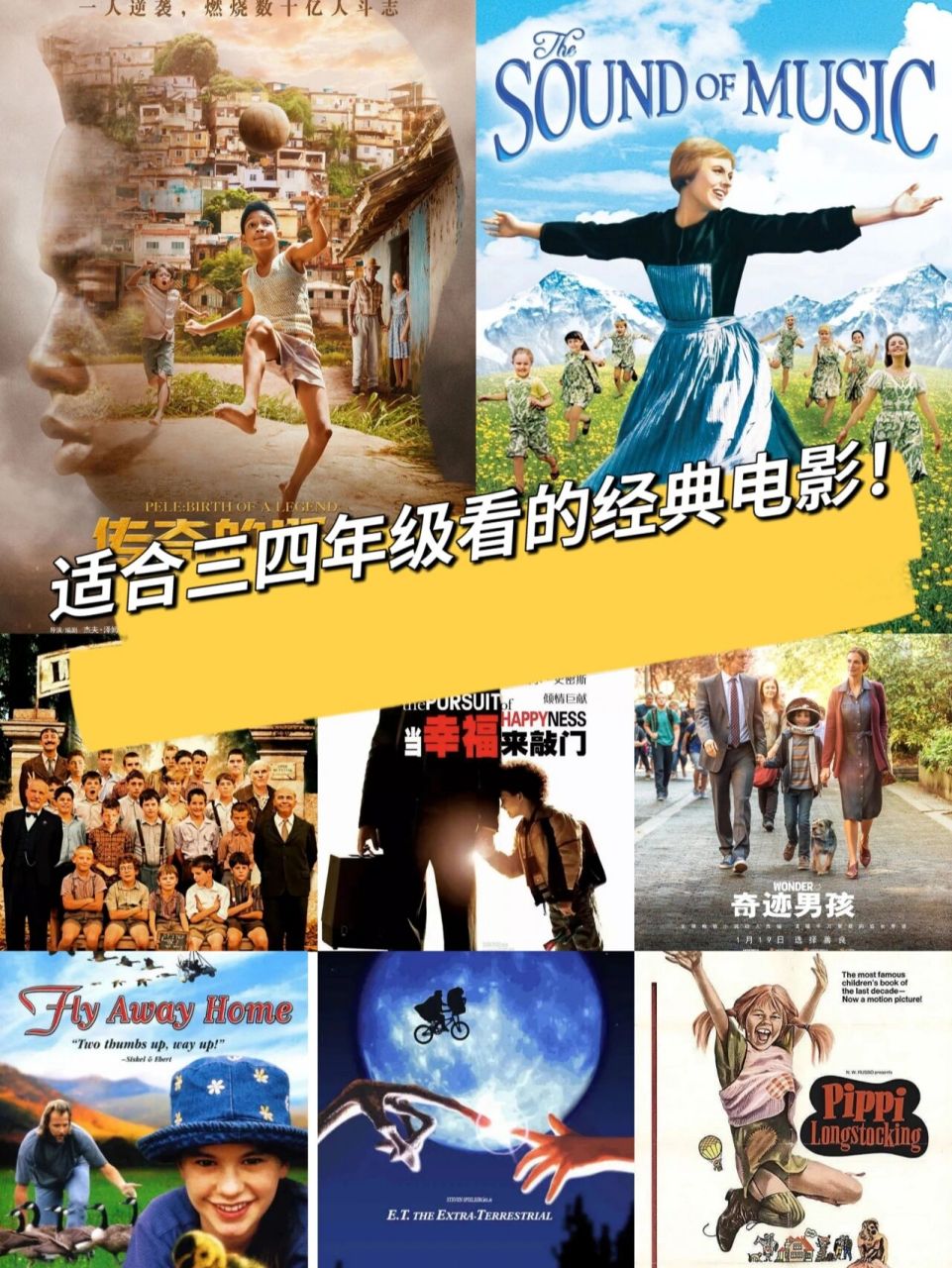 166《传奇的诞生》 豆瓣评分:7.