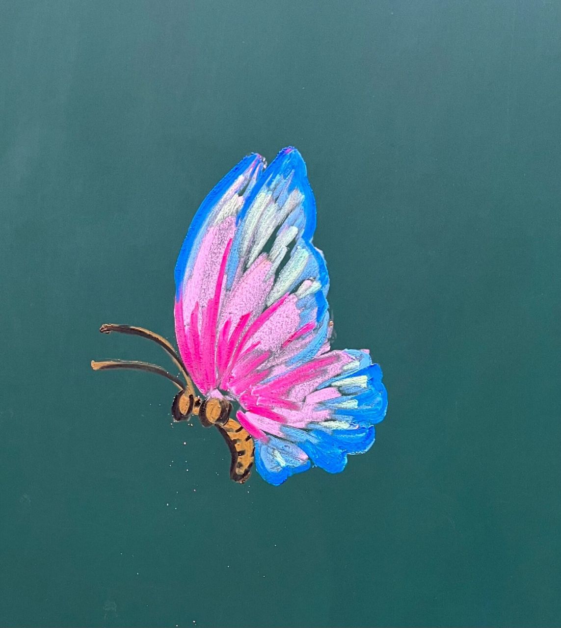 粉笔画一黑板报插图 蝶恋花(附教程)          昨天有网友要的蝴蝶的