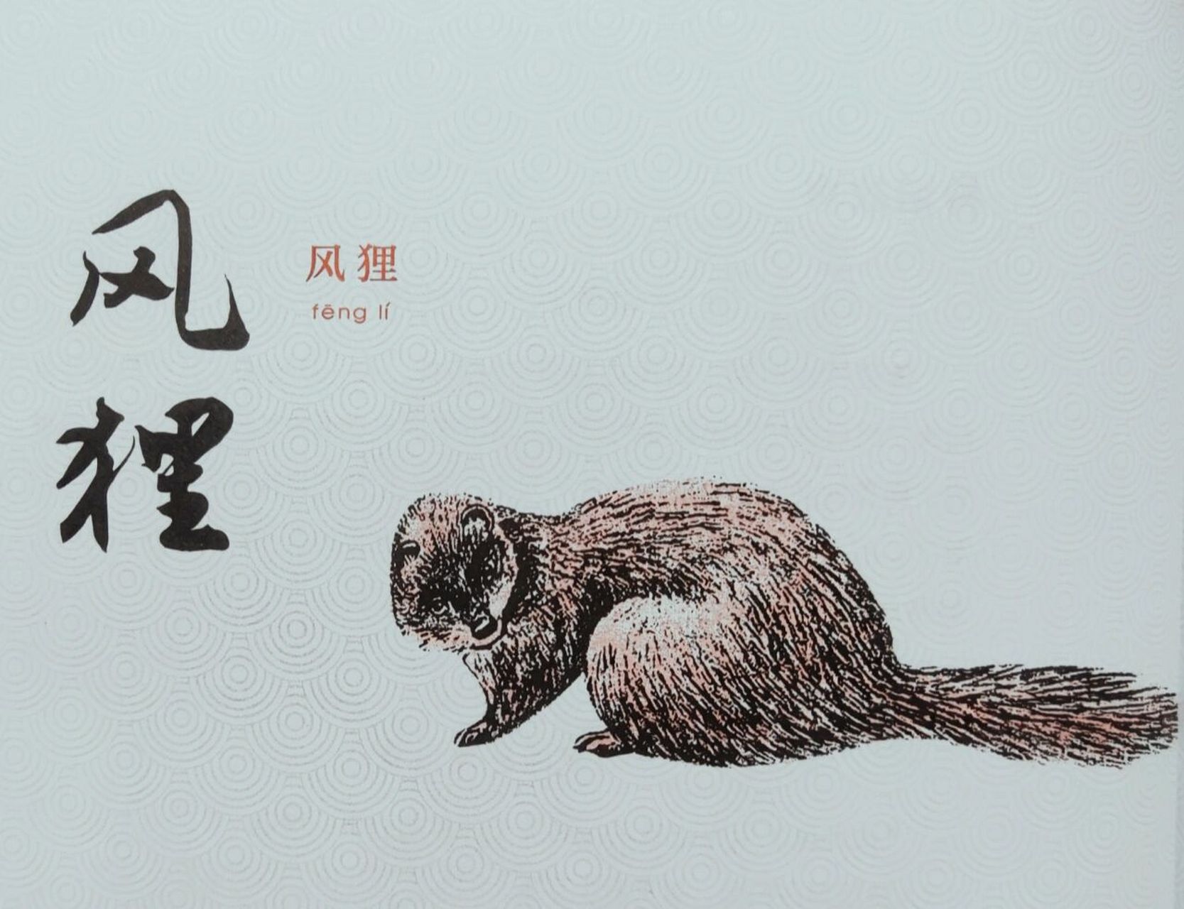 中华妖怪录7115风狸 风狸又叫风生兽,栖息在树上,等风来后,移到