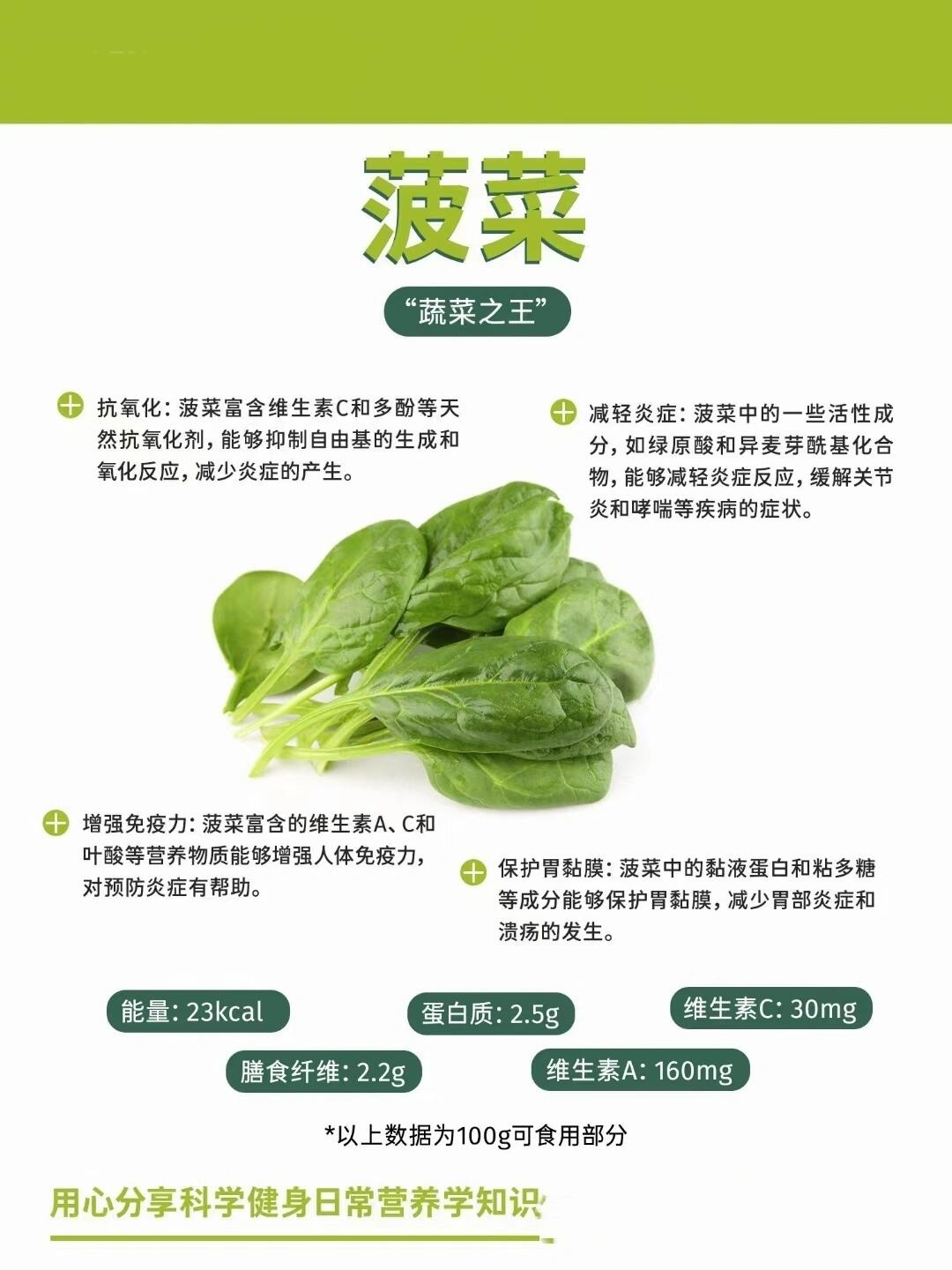菠菜的营养价值 蔬菜中的全能型选手:菠菜 维生素全家桶 高植物粗纤维