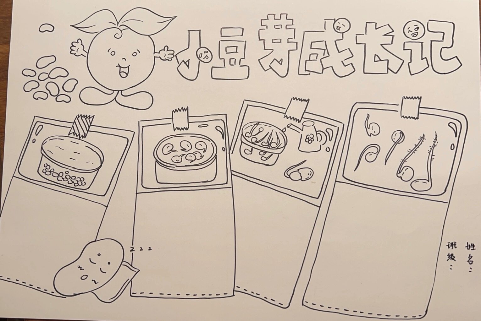 豆芽成长手抄报 纸上临摹十分钟,电脑画三小时