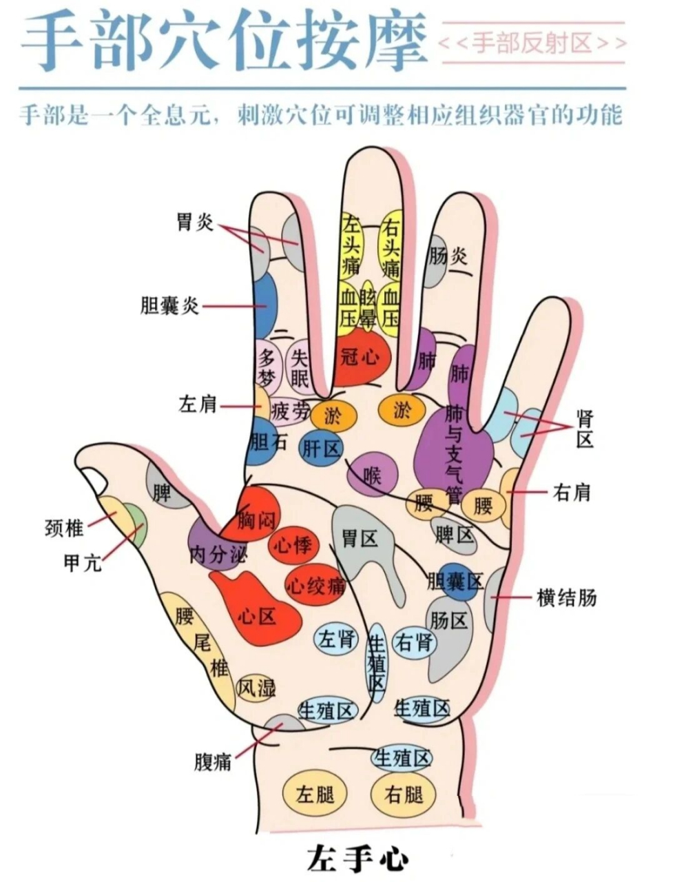 手部经络图6条的位置图片