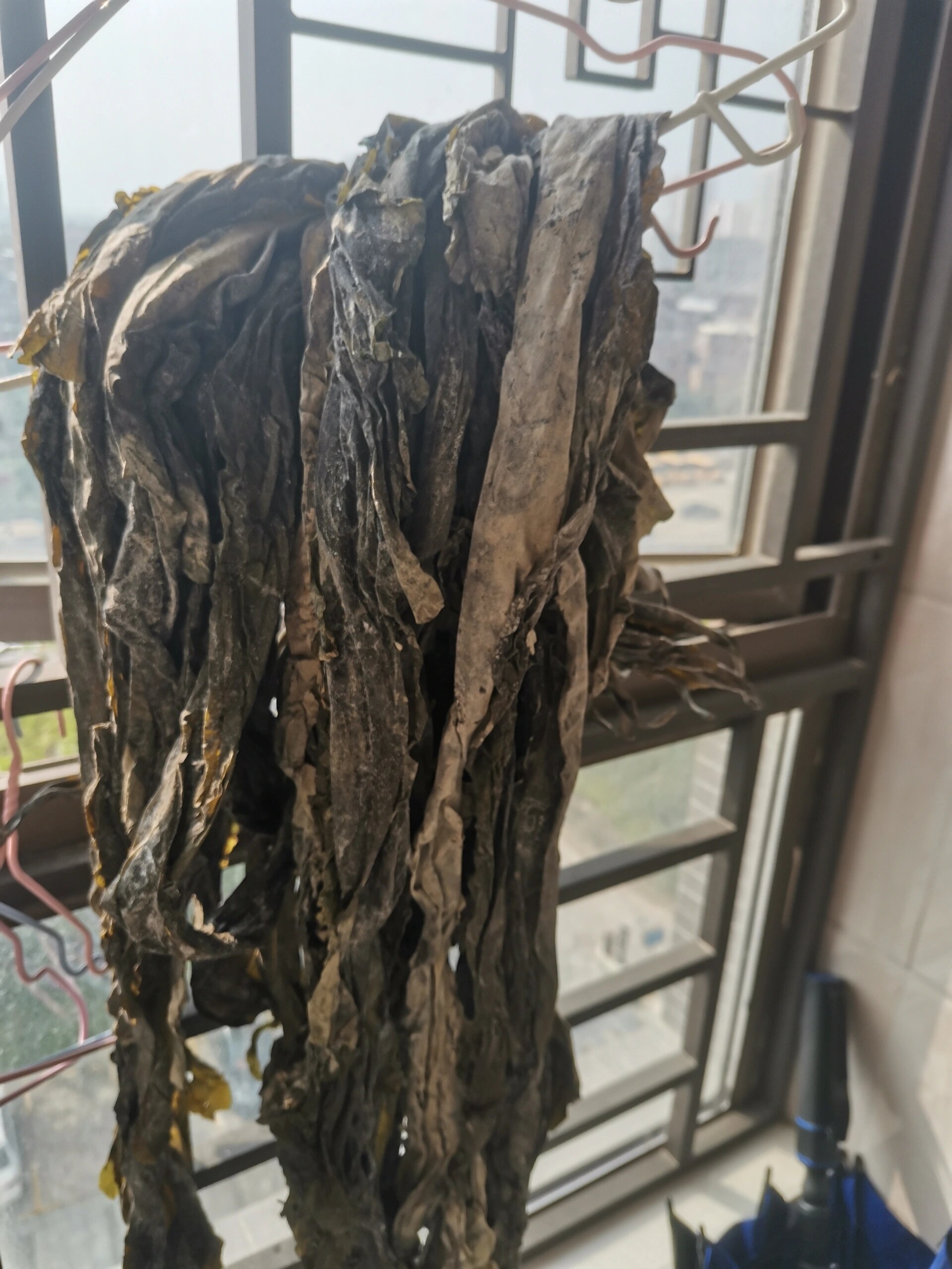 海带这样是发霉了吗,还能吃吗