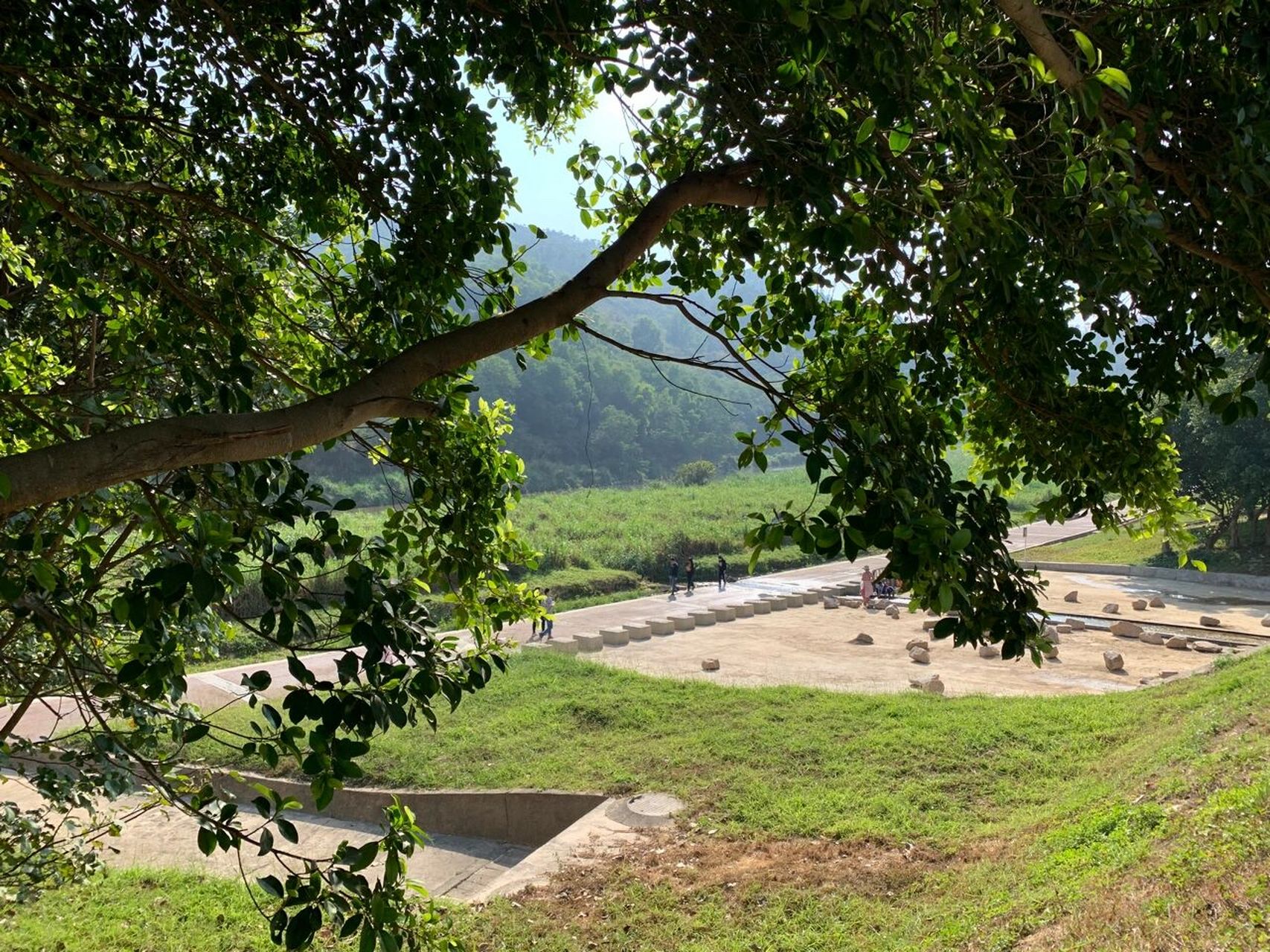 龙岗免费景点坪地湿地公园 第一次来 感觉很可 感觉很适合带父母孩子