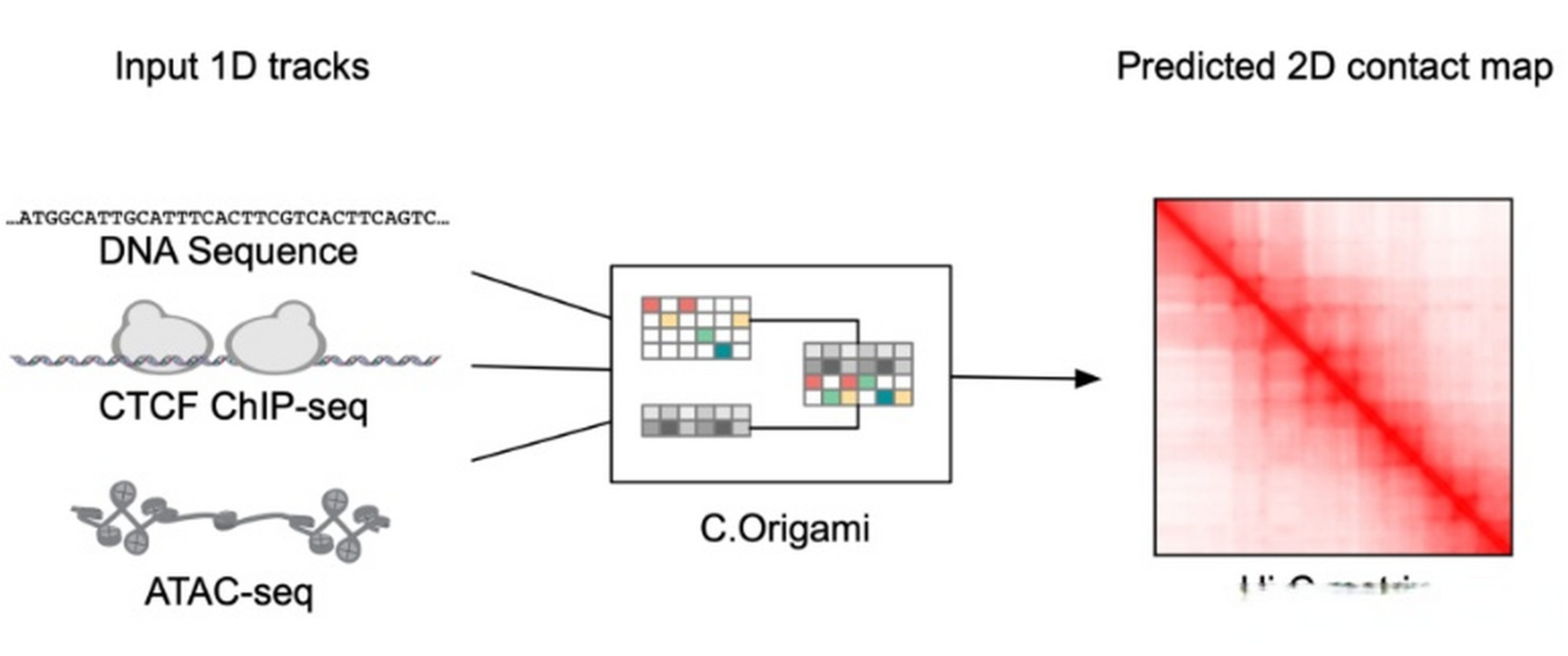就能完成一次实验预测,纽大中国学者提出高通量计算遗传筛选新方法