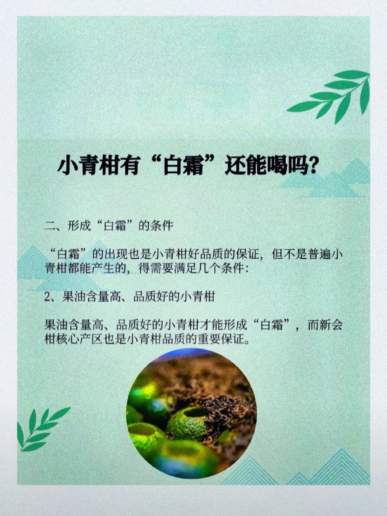 在被称为小青柑核心地区的新会