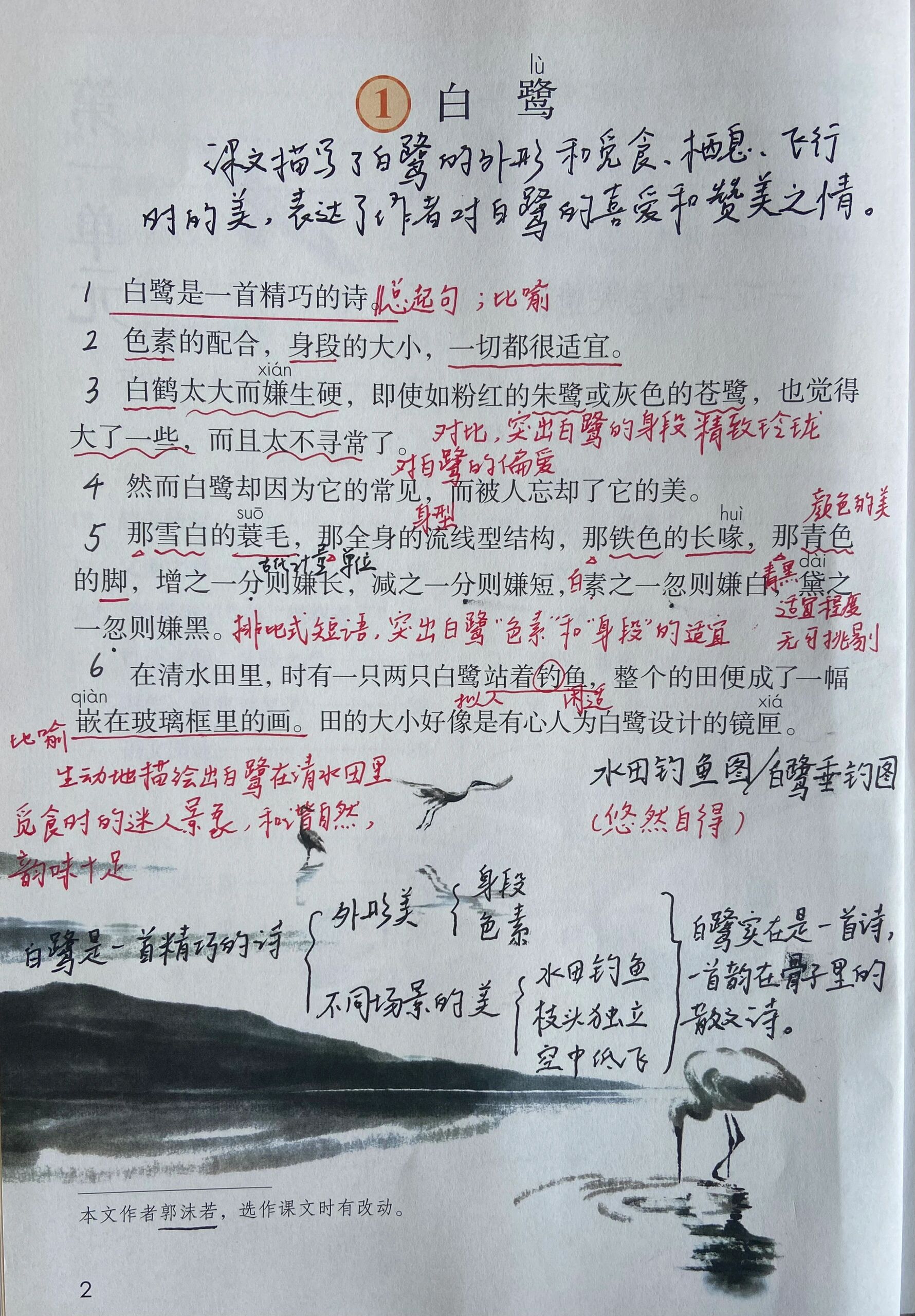 白鹭课本笔记纸质备课教案