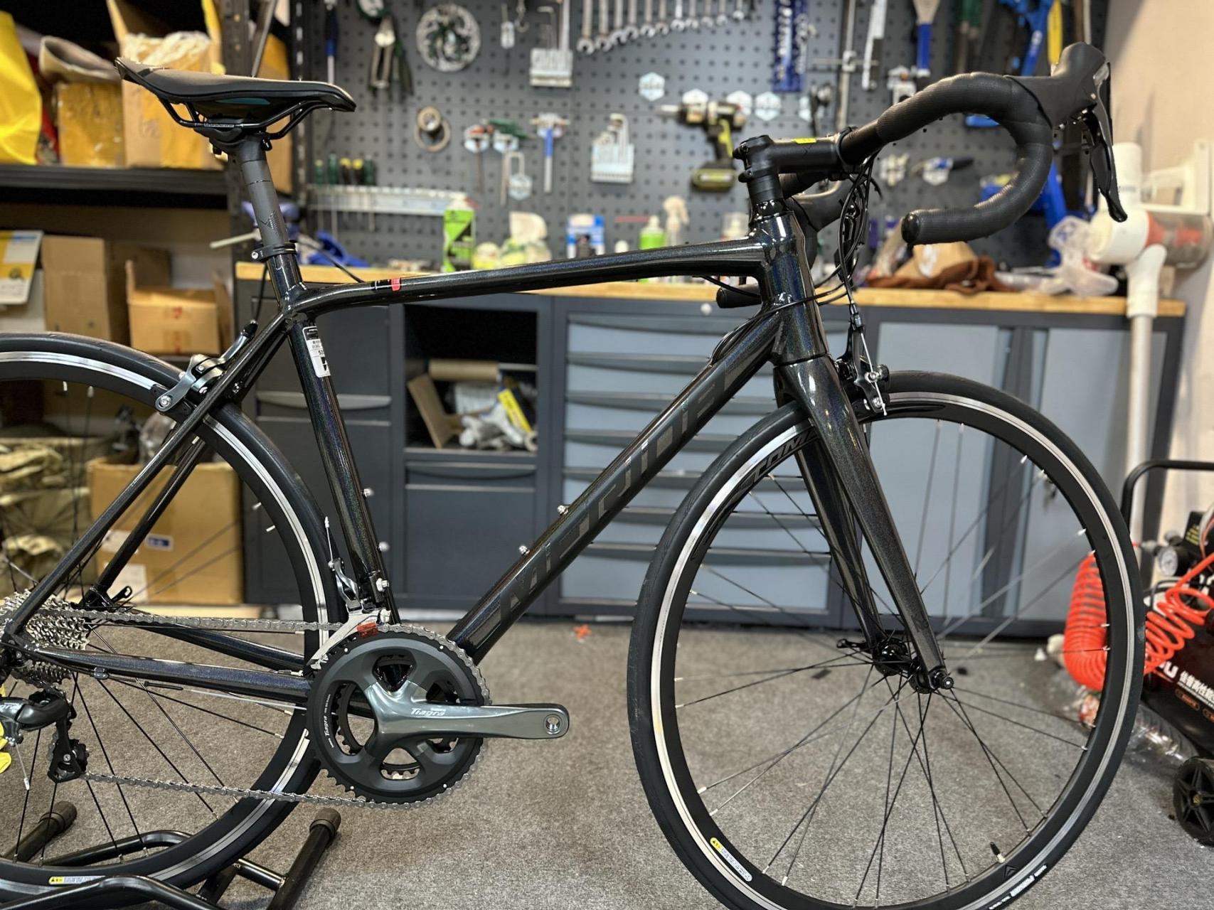 24款斯特拉king 全新涂装.