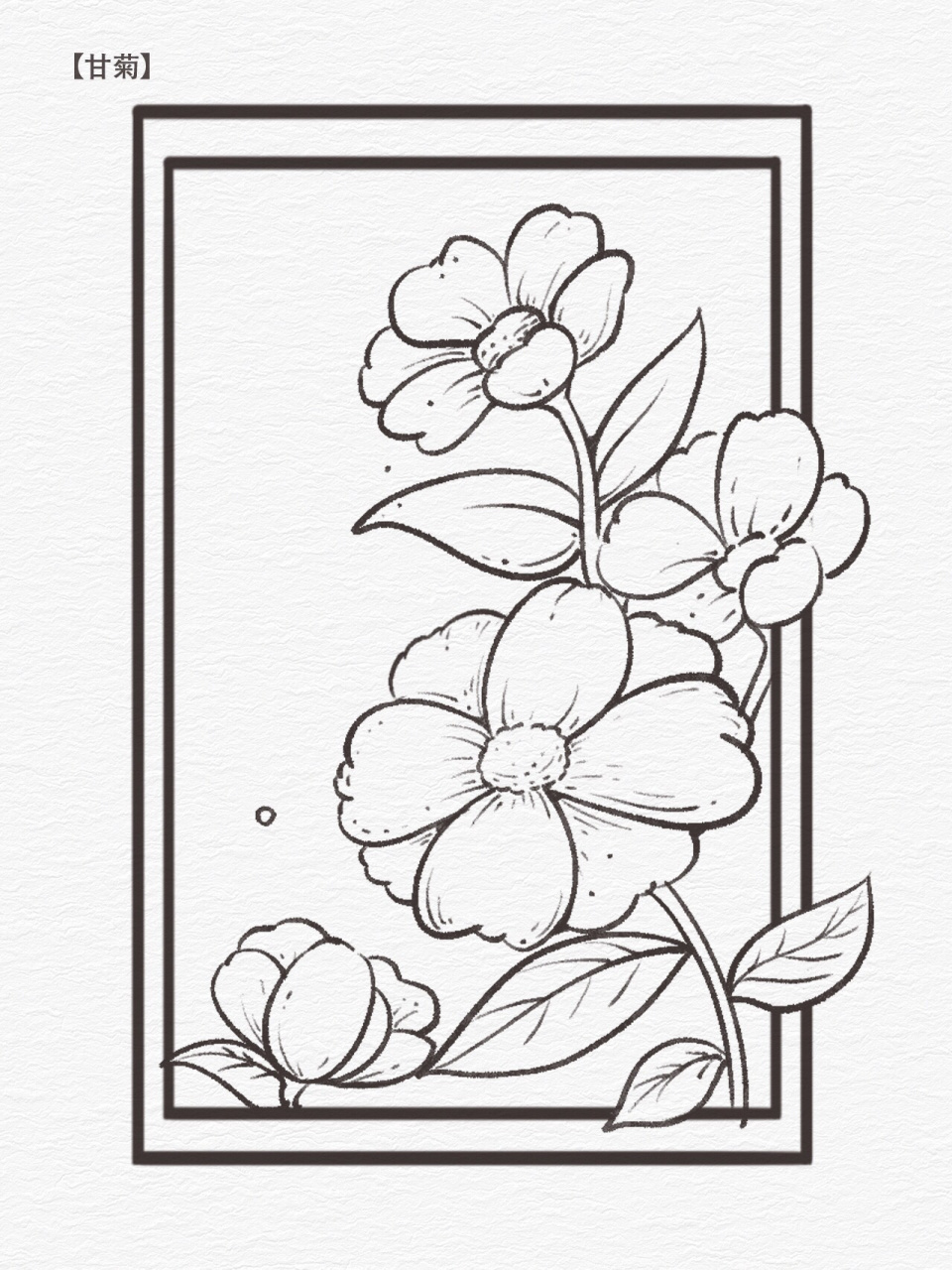 零基础学插画|花卉线稿合集六宫格~ 二月的花花线稿六宫格 甘菊,铃兰
