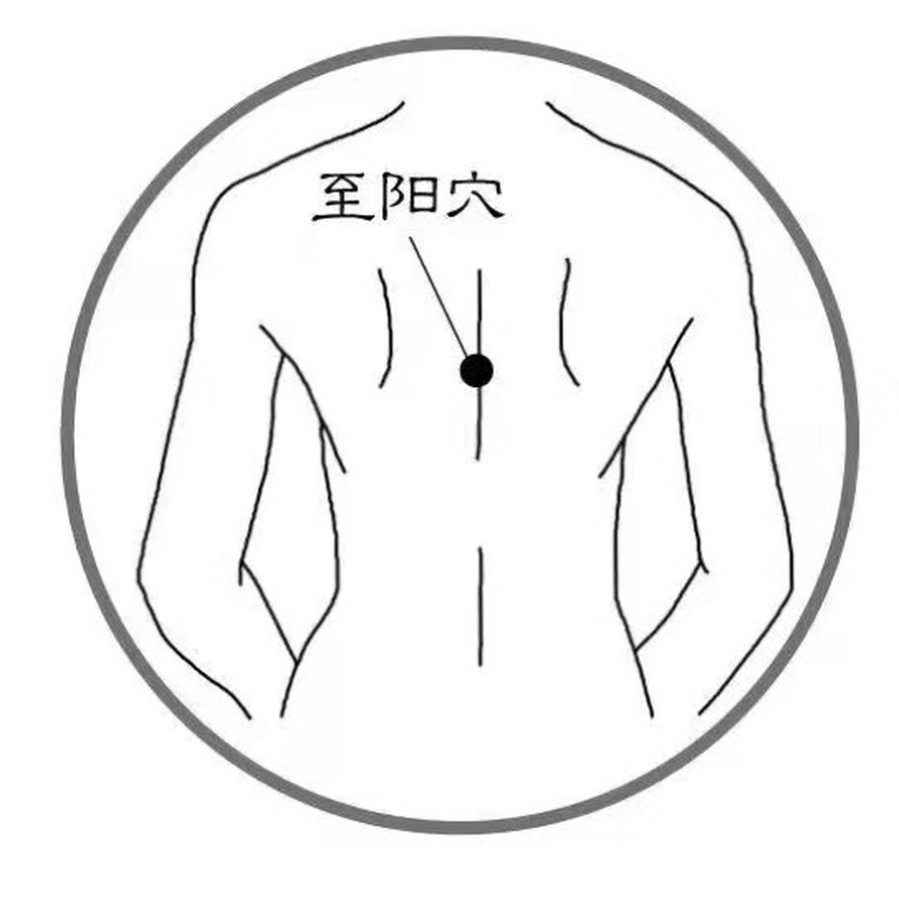 【每天学一点】人体生阳点之——至阳穴 【每天学