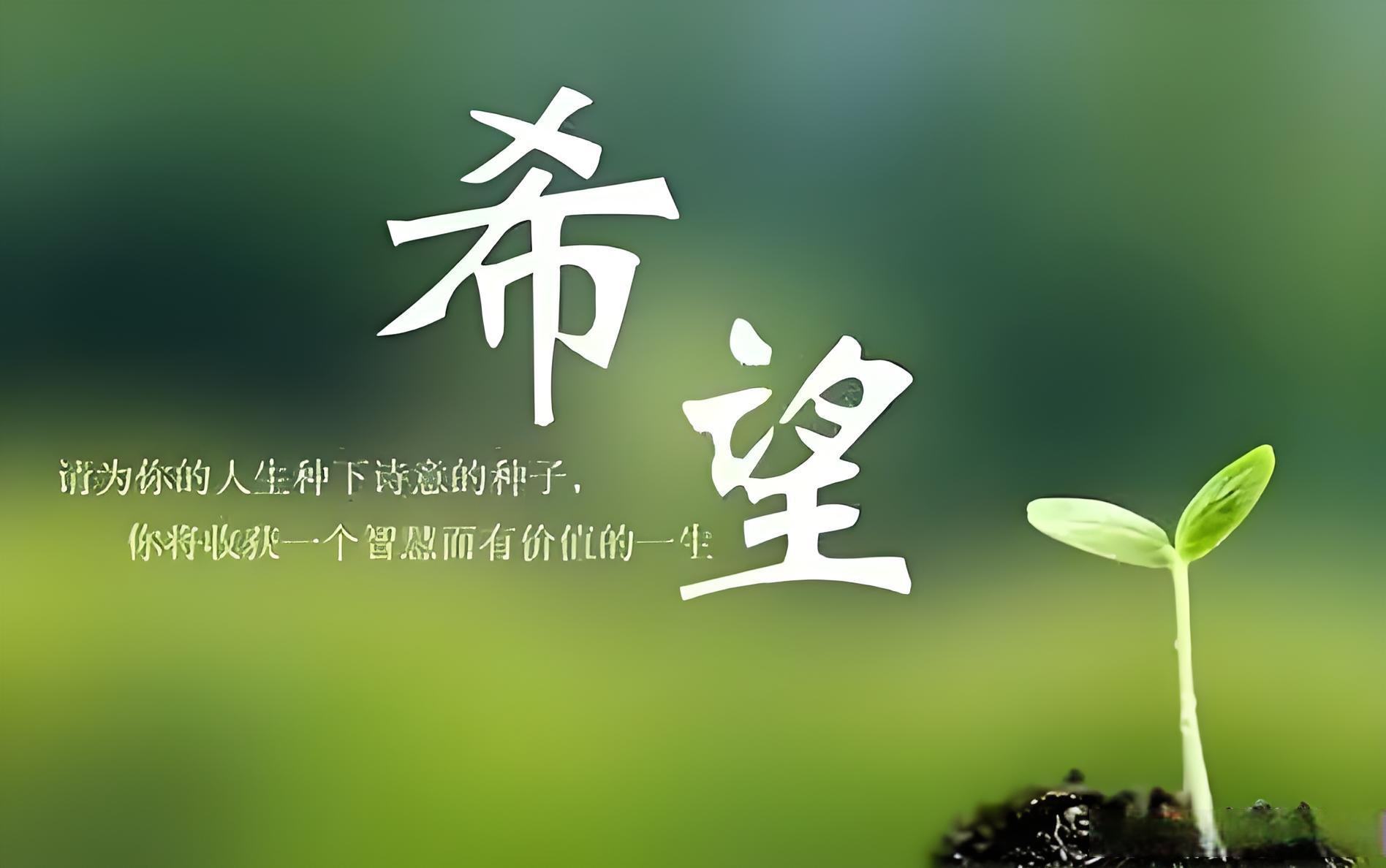 近来因为工作的原因,心情比较压抑,情绪也很低落,偶尔