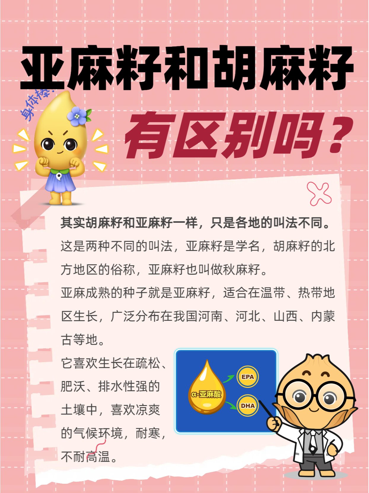亚麻籽和胡麻子有区别吗?