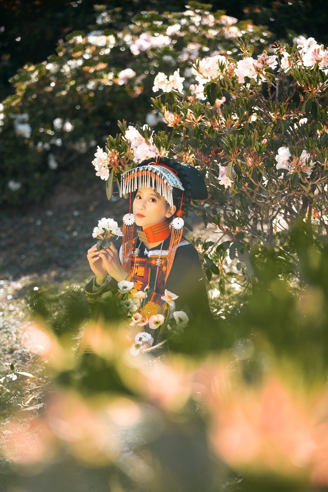 《索玛花》在阳光下,索玛花如姑娘般娇俏动人,散发着迷人的芬芳