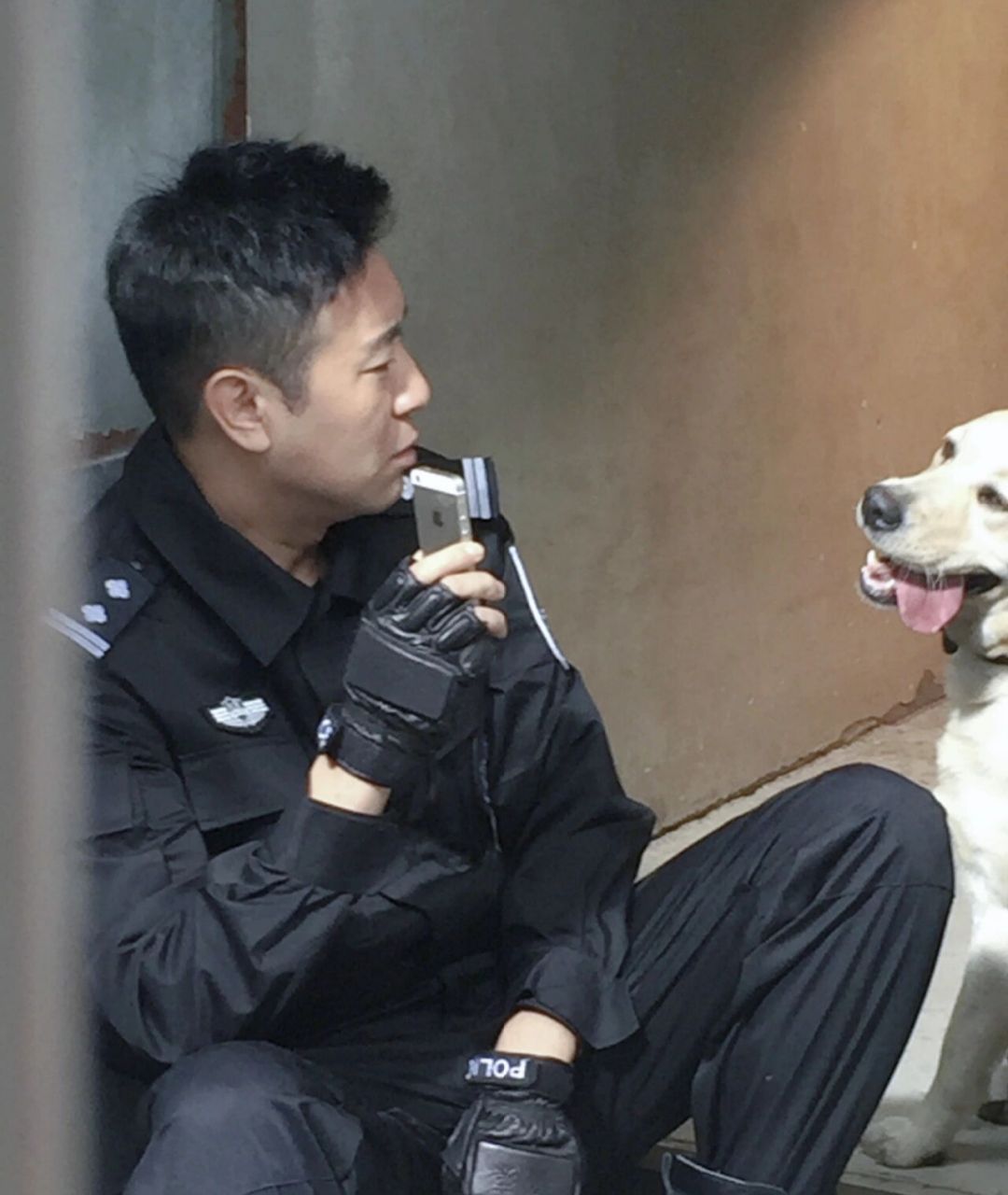 警花与警犬的狗 杜飞图片