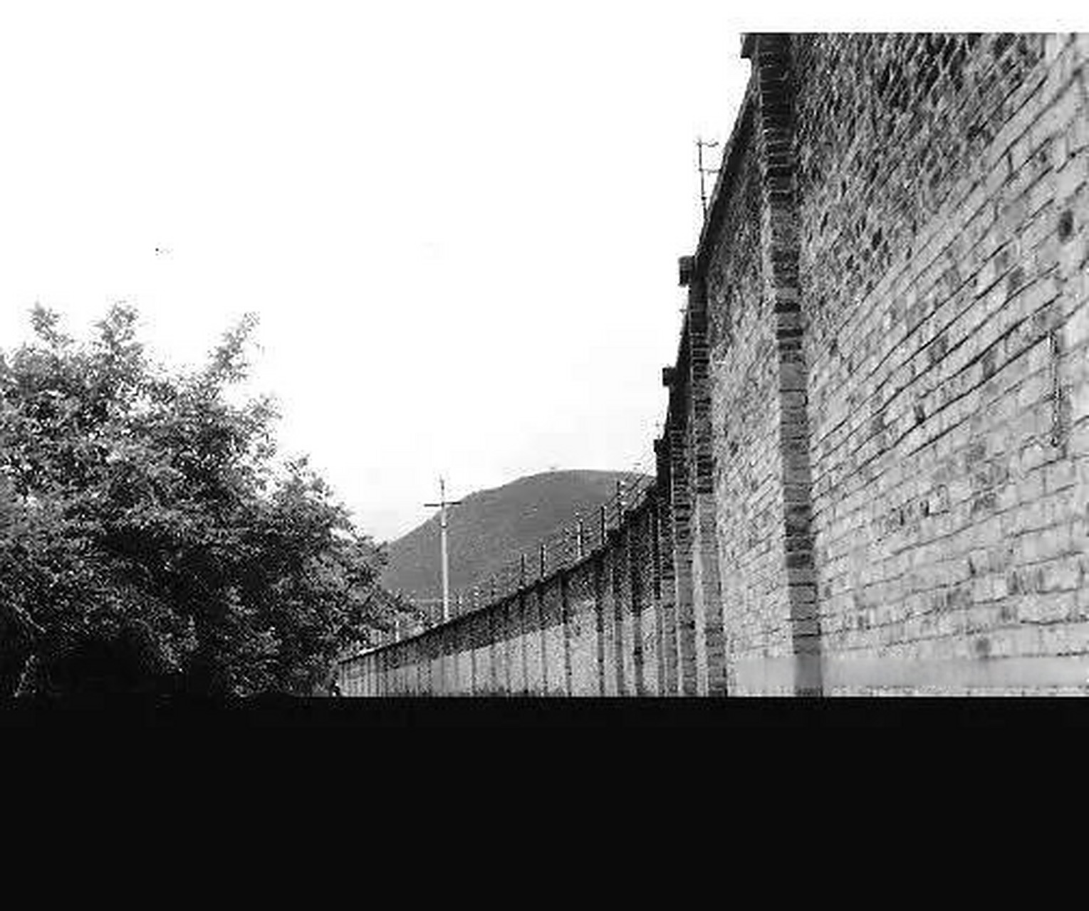 徐洪慈,上海大买办的孩子,15岁入党,57年在上海第一医学院读书时被打