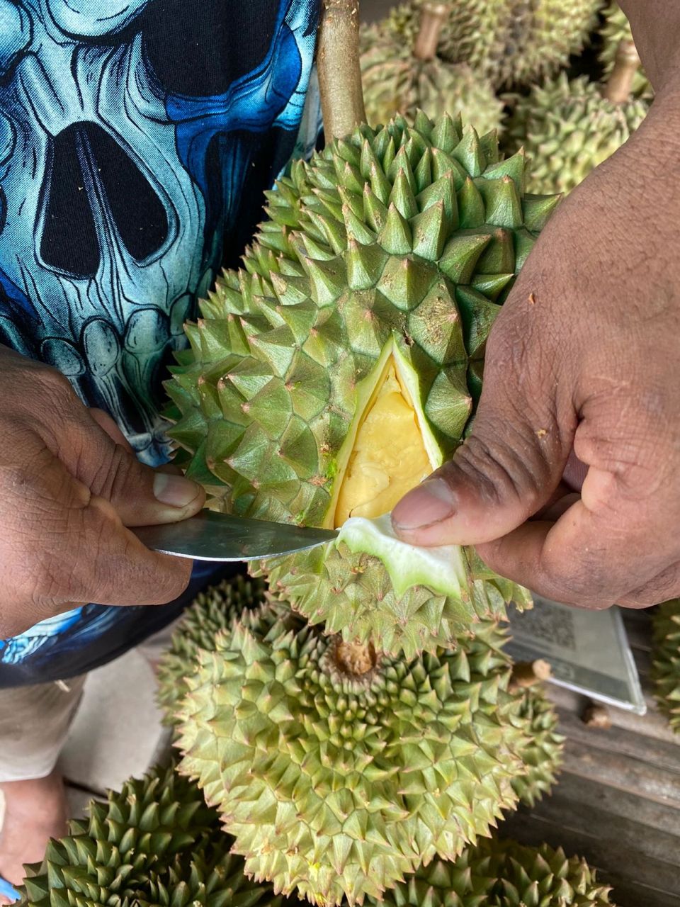 现在是泰国东部的榴莲上市的季节,东部就是尖竹汶(chanthaburi)一带