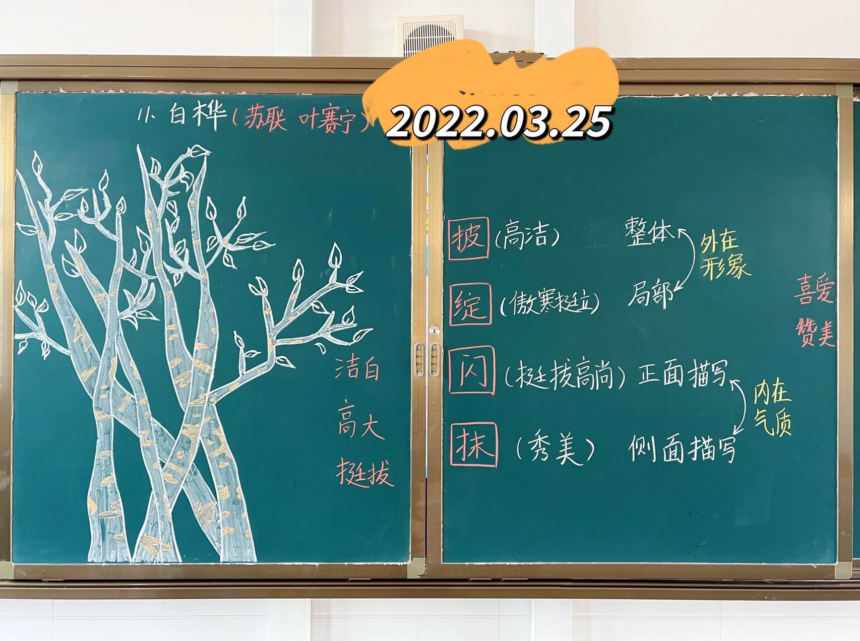 四年级下册《白桦》原创板书设计