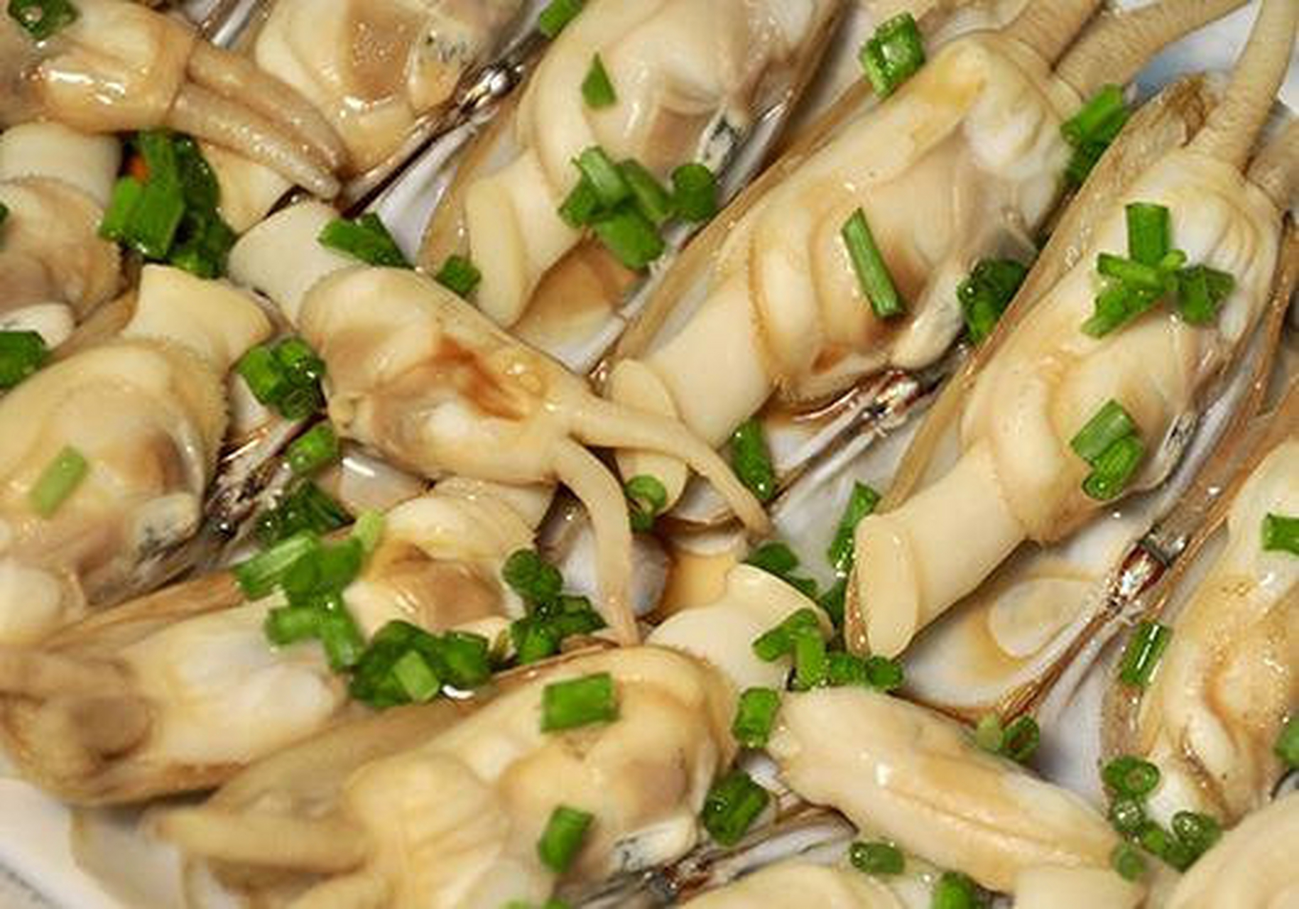 宁海长街蛏子正当食#每年的3～5月份都是吃蛏子,蛤蜊等贝壳类水产品