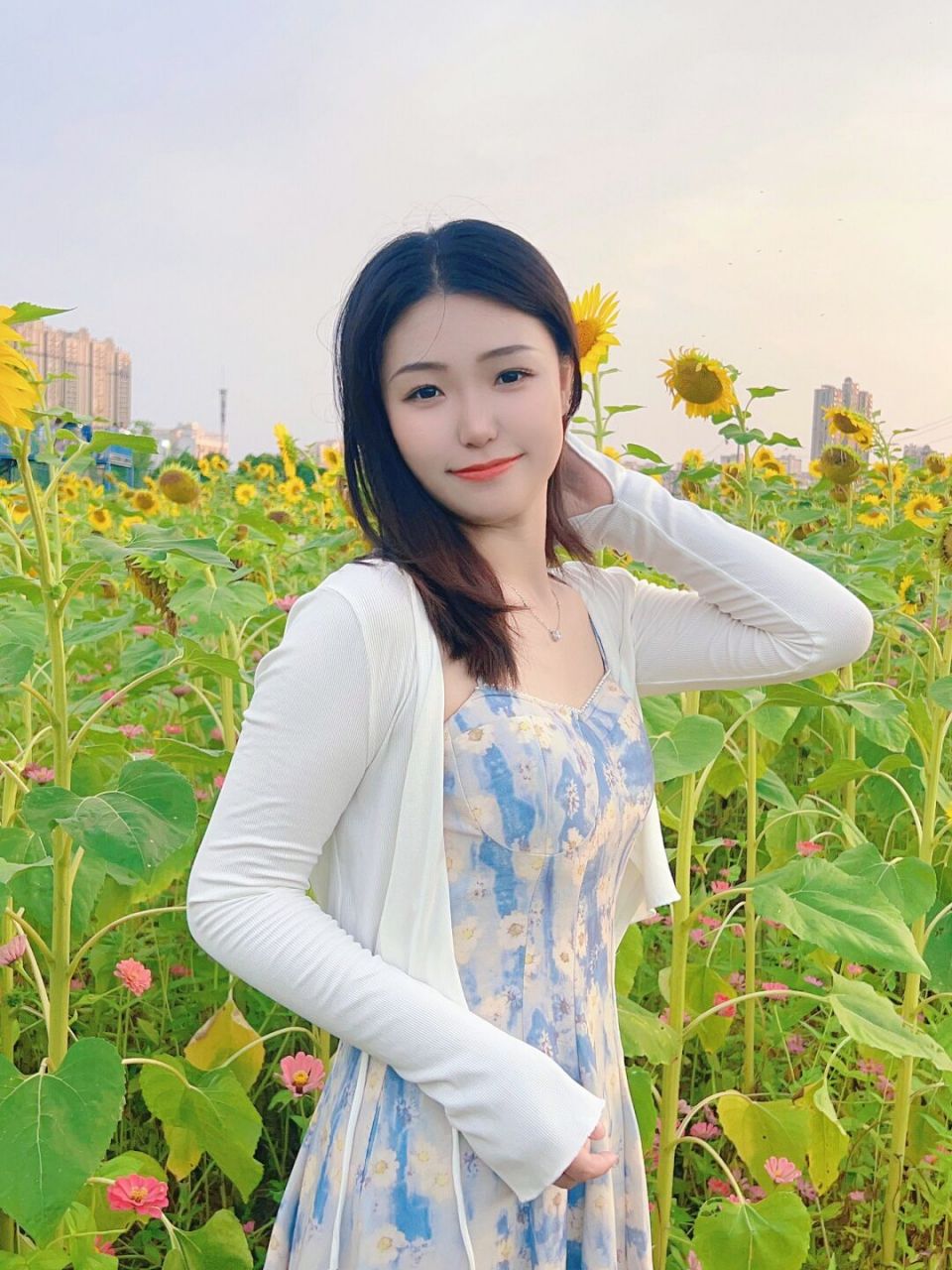 97青青园中葵,朝露待日晞 去的有点儿晚了,以前马兰圩人都不是特别