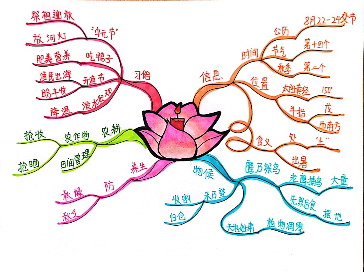 处暑思维导图图片大全图片