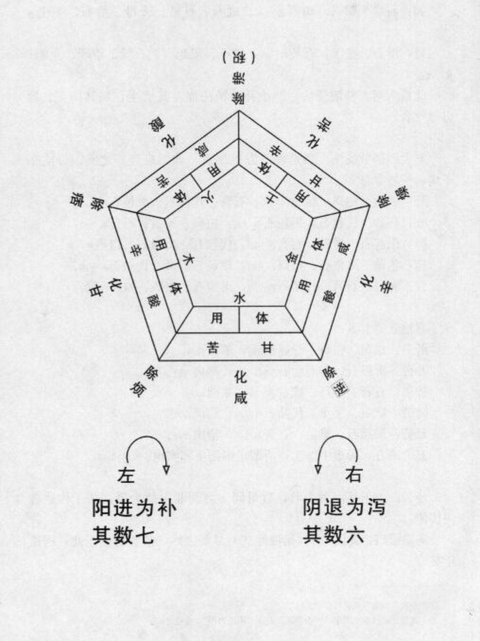 辅行诀用药合化图图片