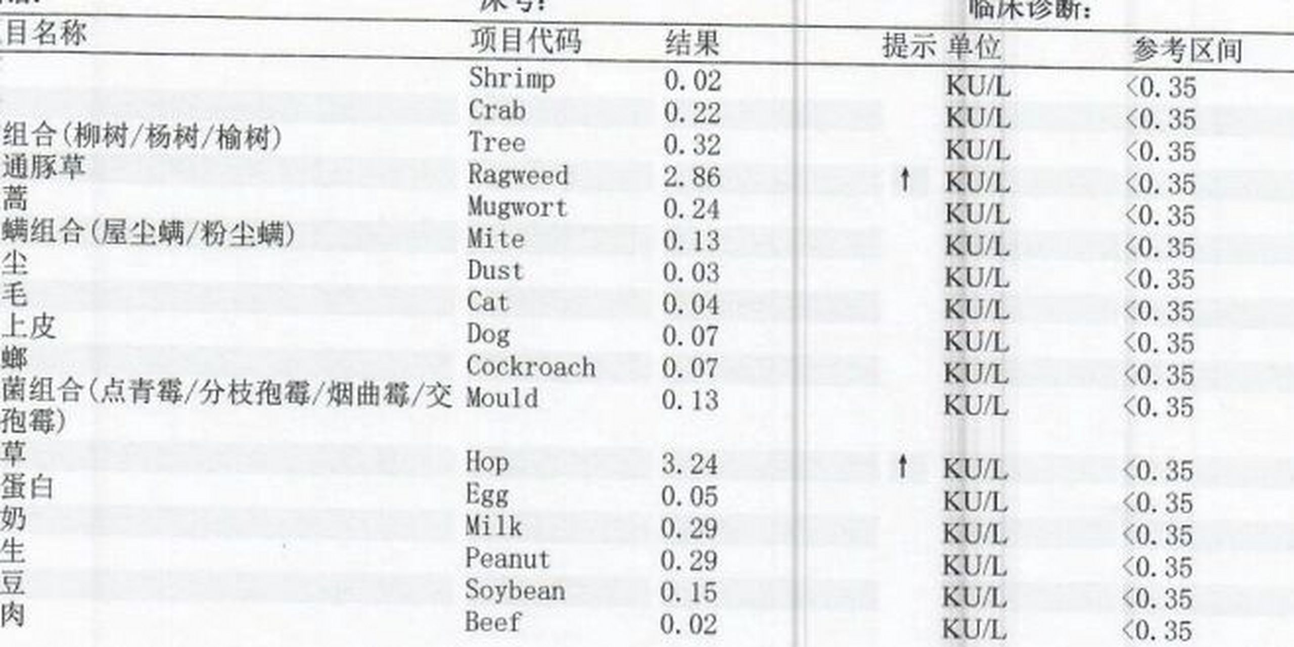 普通豚草过敏包括什么图片