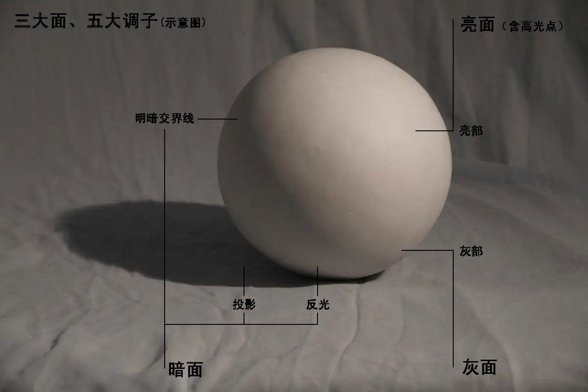 素描的核心知识三大面五大调子 素描三大面是指受光面(亮面)和背光面
