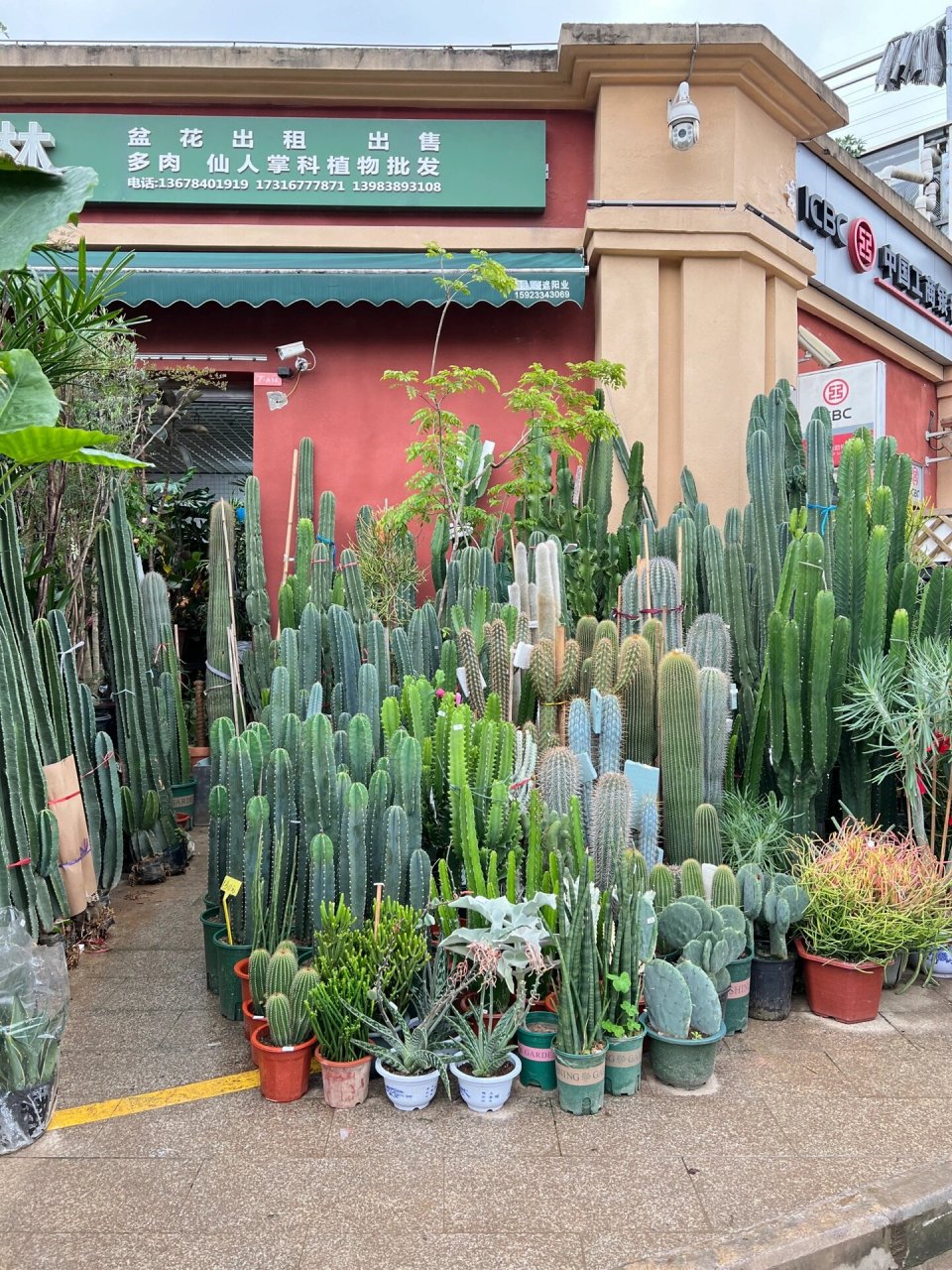 重庆宏帆望海花市图片