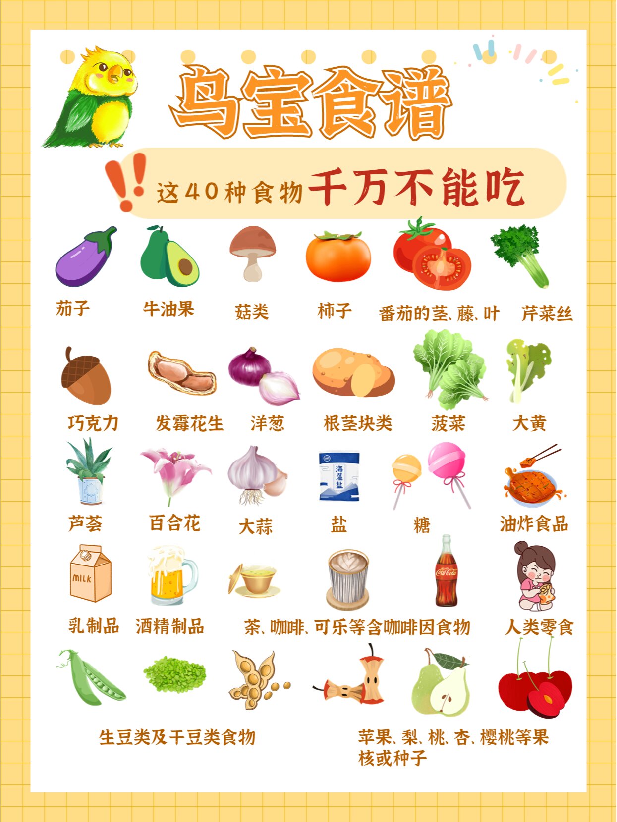 92鹦鹉不能吃的40种食物,乱喂鸟宝致命75